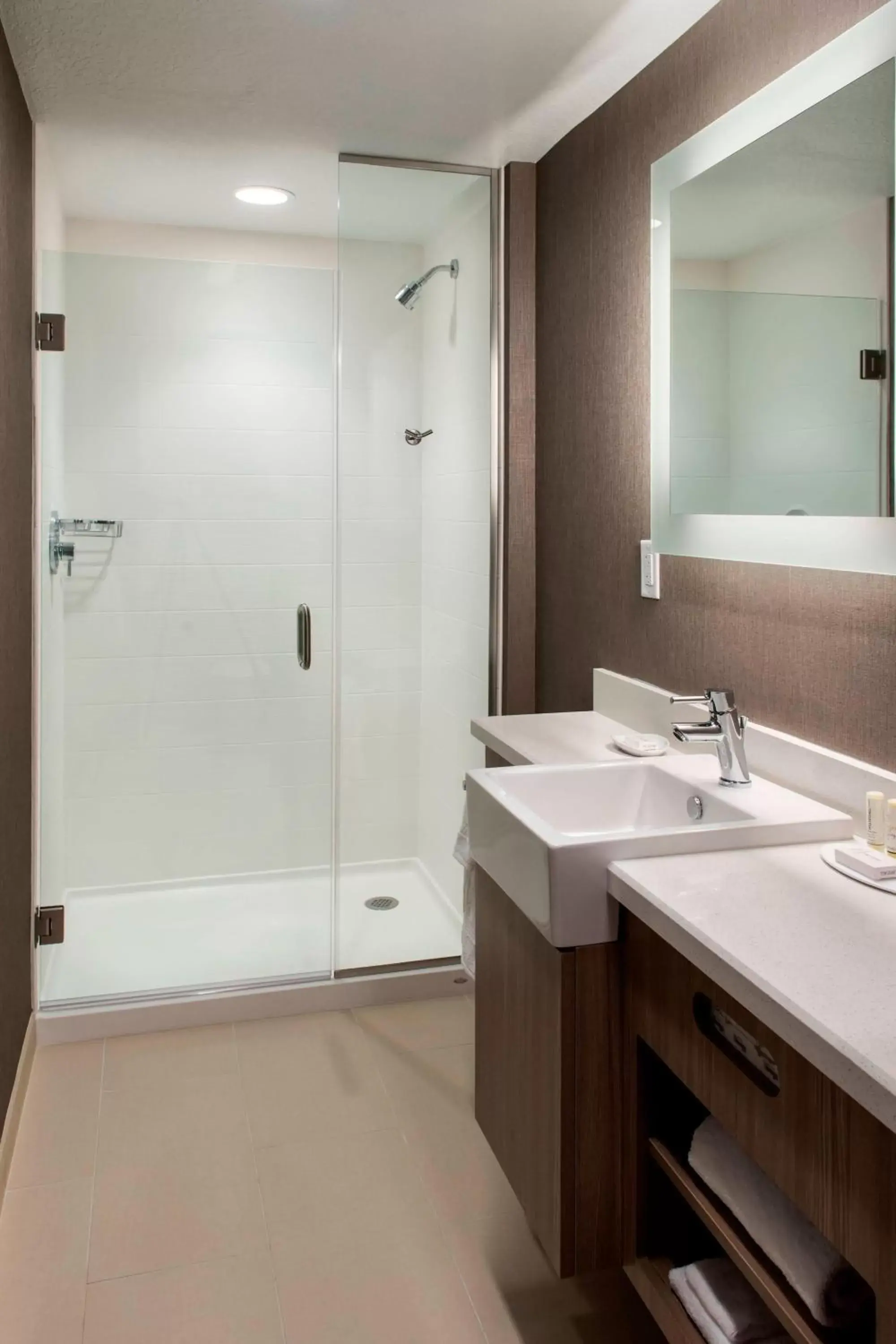 Bathroom in SpringHill Suites by Marriott Tampa Suncoast Parkway