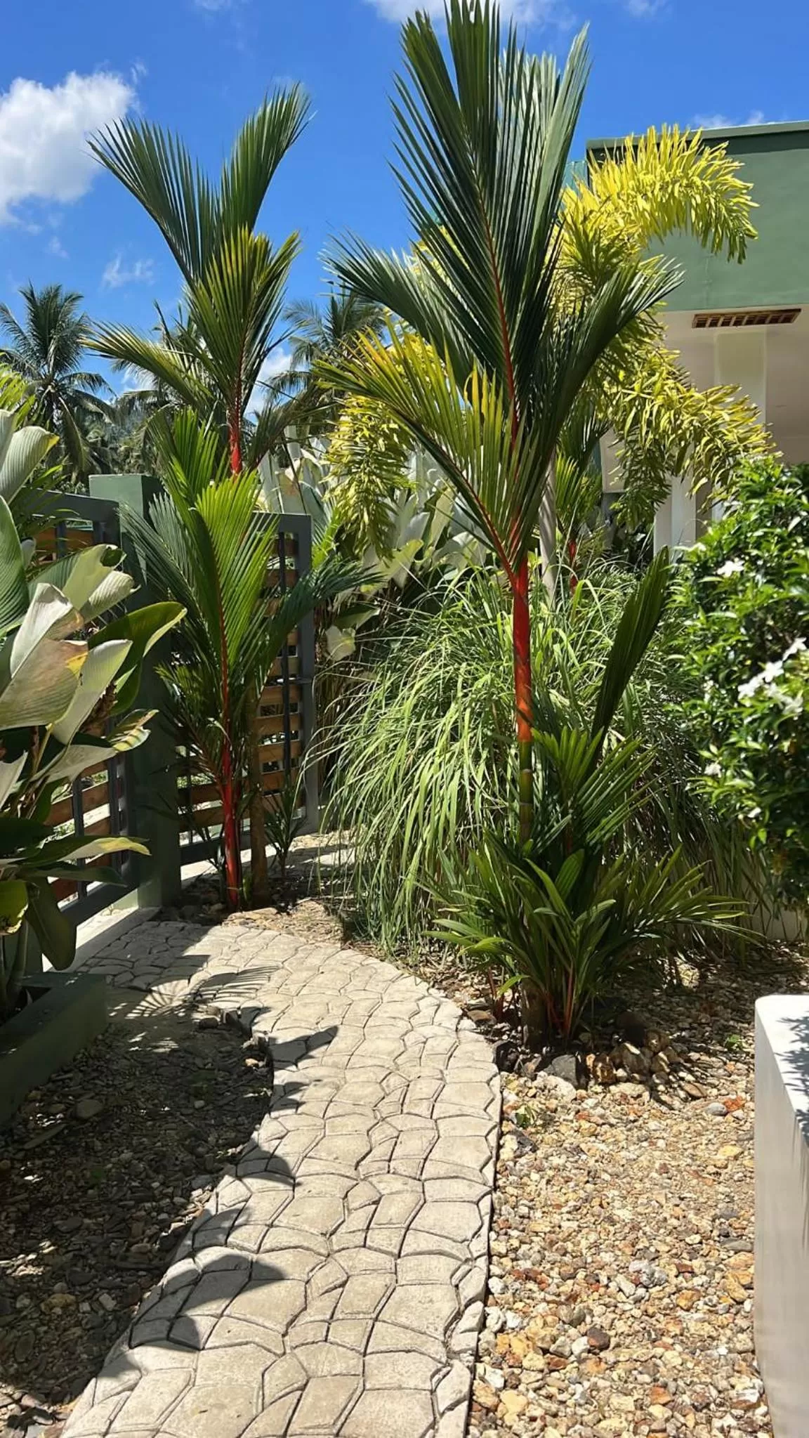 Garden in ROYAL SUITES - PORT BARTON