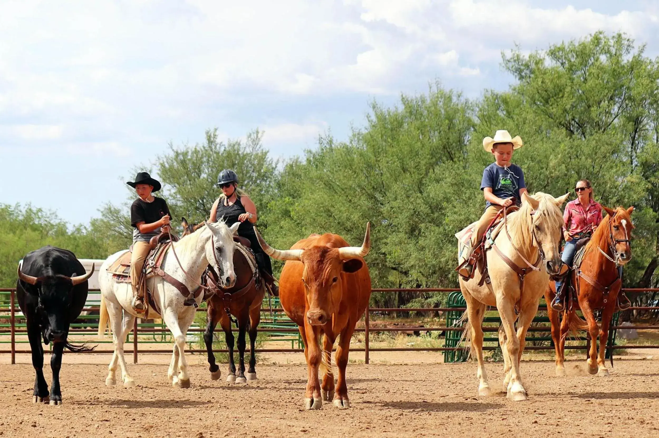 Horse-riding, Horseback Riding in Tombstone Monument Guest Ranch