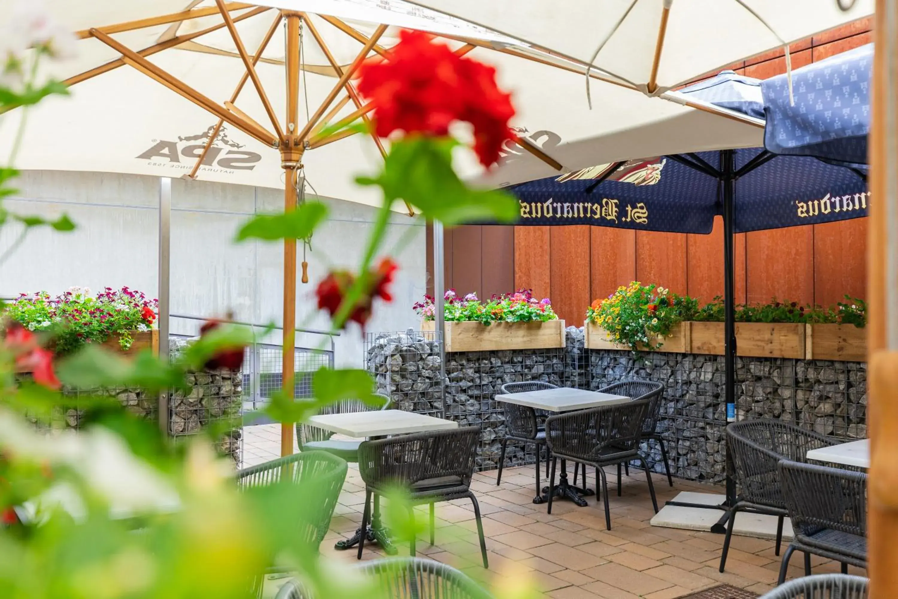 Balcony/Terrace, Restaurant/Places to Eat in Hotel Ambiotel