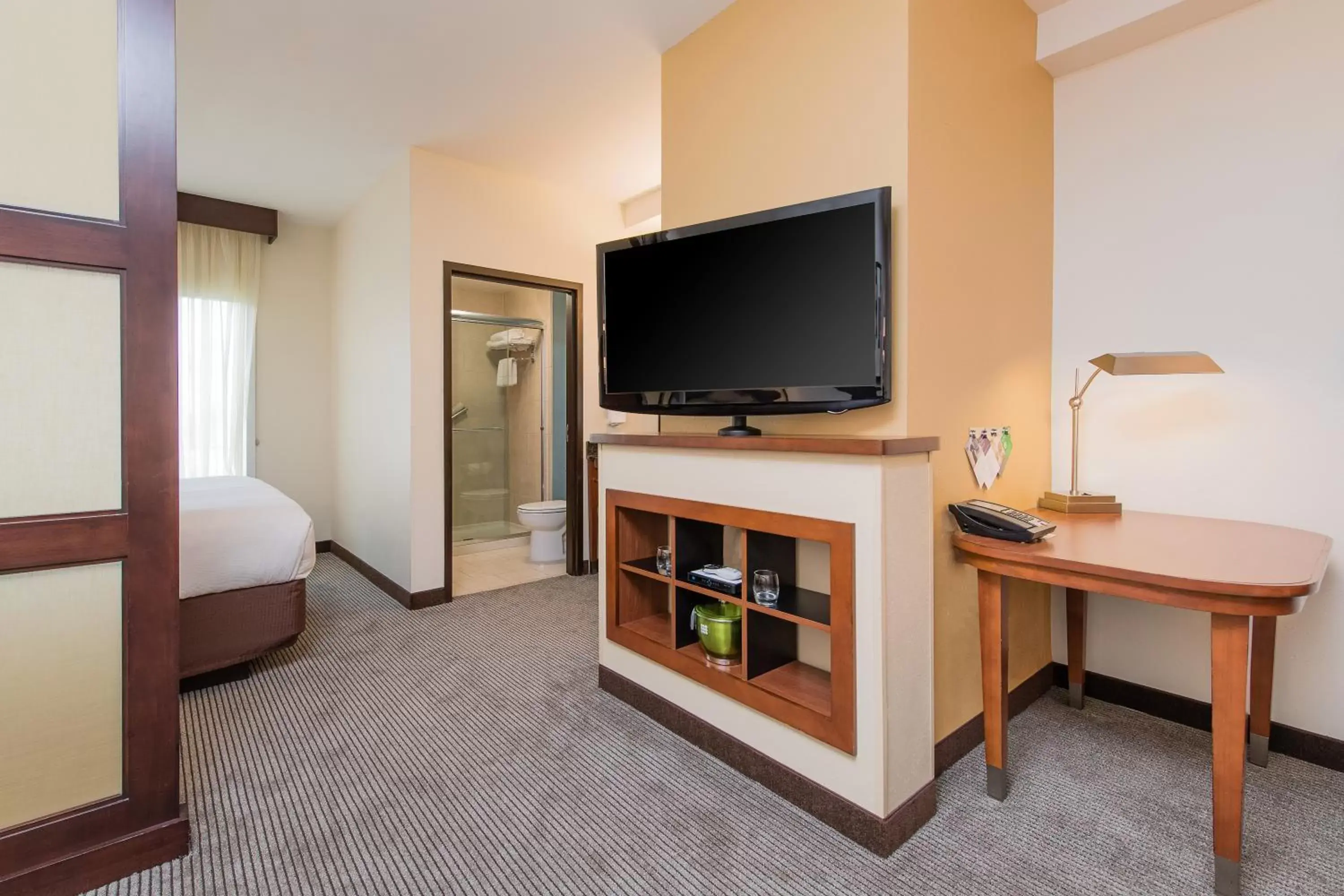 TV and multimedia, TV/Entertainment Center in Hyatt Place Charleston Airport / Convention Center