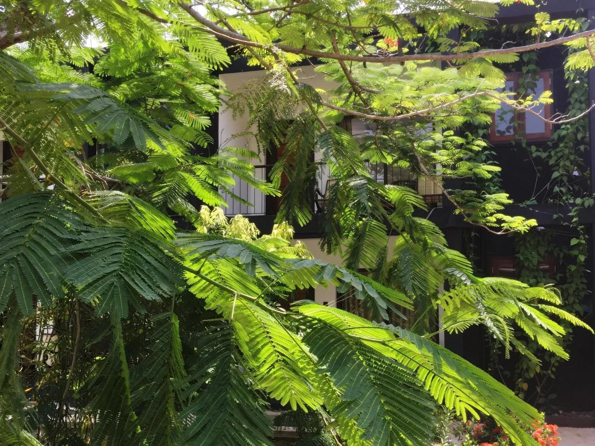 Facade/entrance in Dambulla Rock Arch