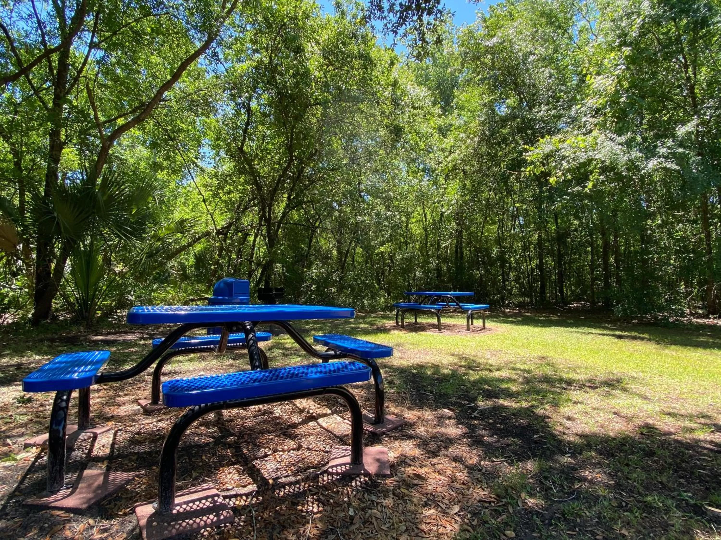 Decorative detail in Holiday Inn Express & Suites Plant City by IHG