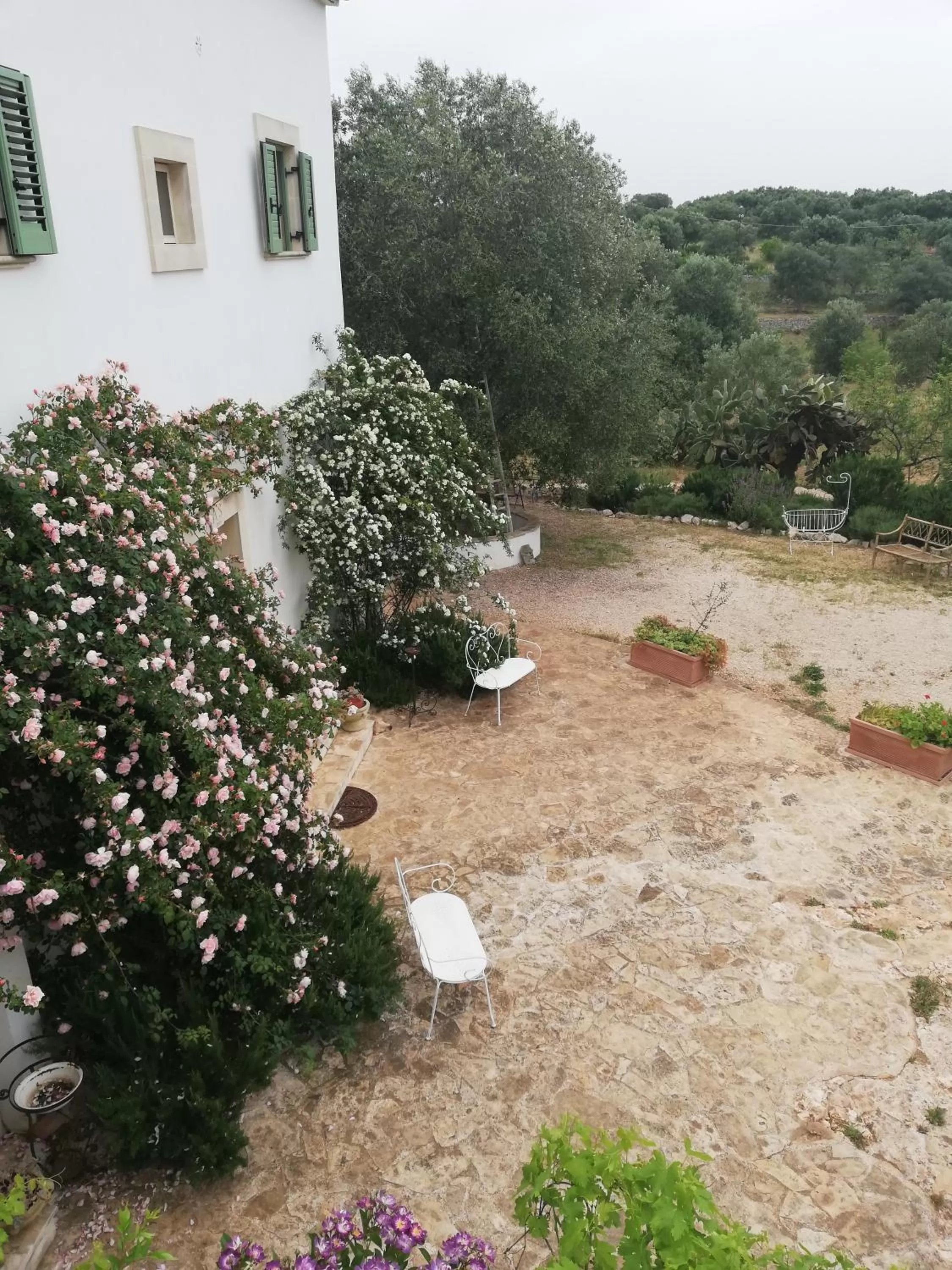 Property building, Garden in B&B Giovannarolla Green House