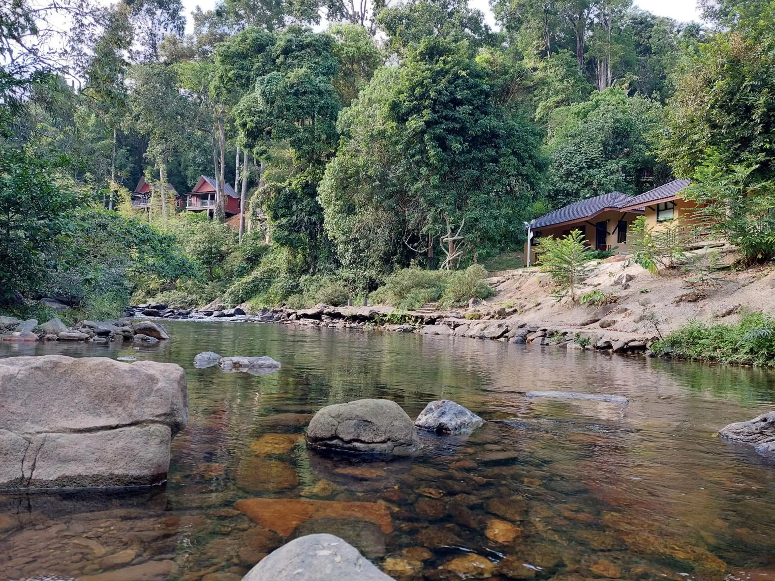 Khaosok Rainforest Resort