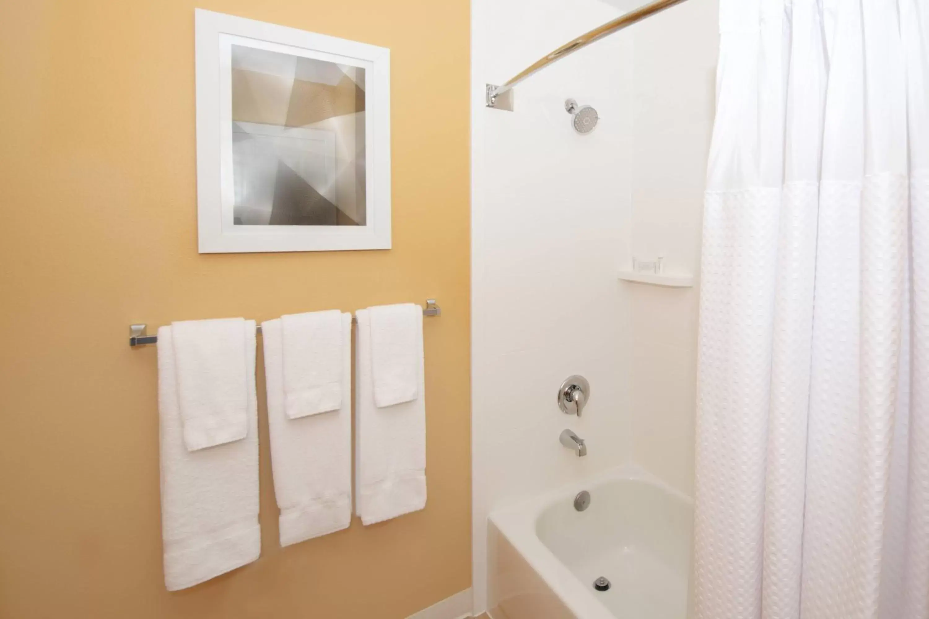 Bathroom in TownePlace Suites by Marriott Seattle Southcenter