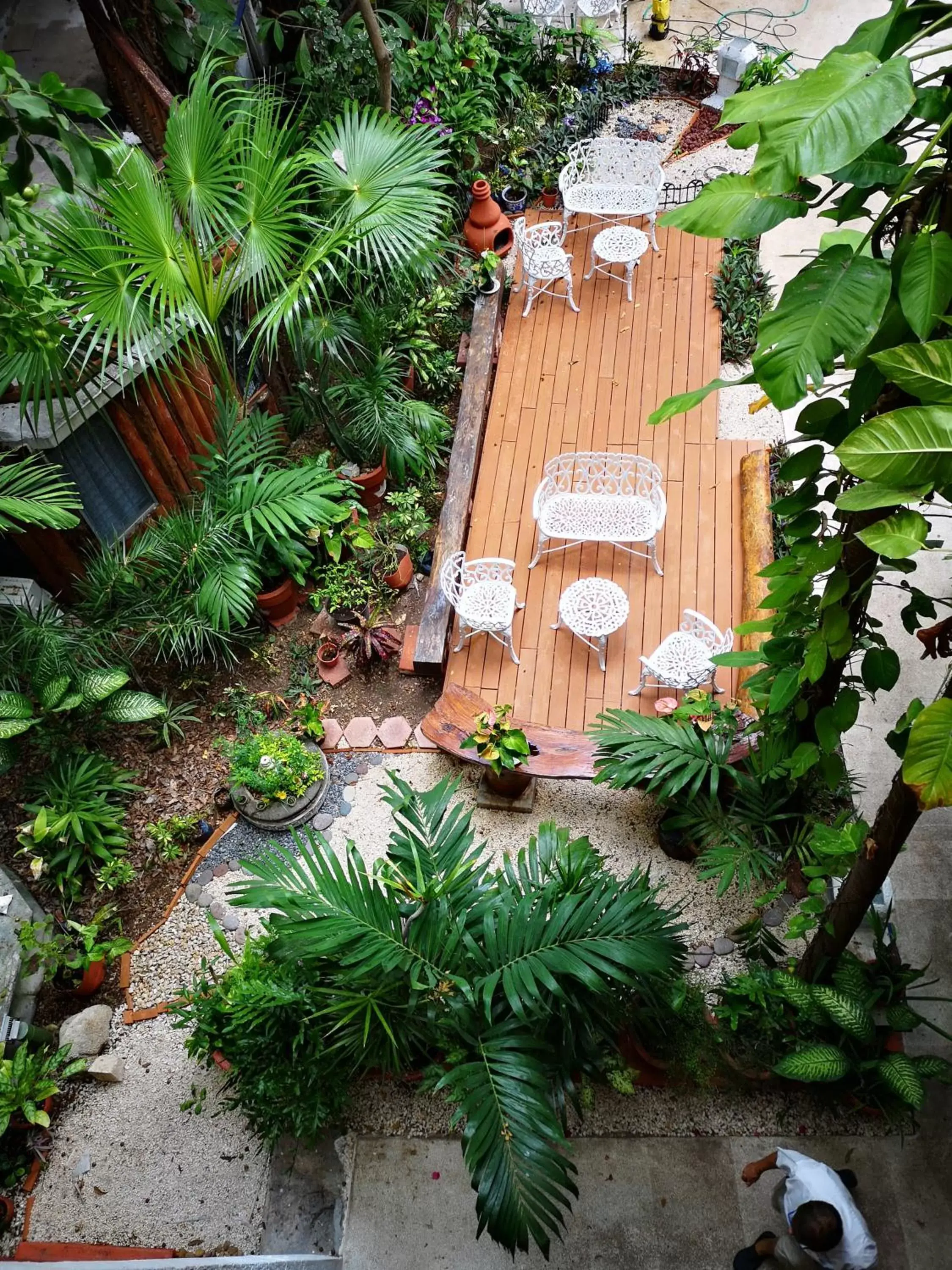 Garden, Bird's-eye View in Eco-hotel El Rey del Caribe