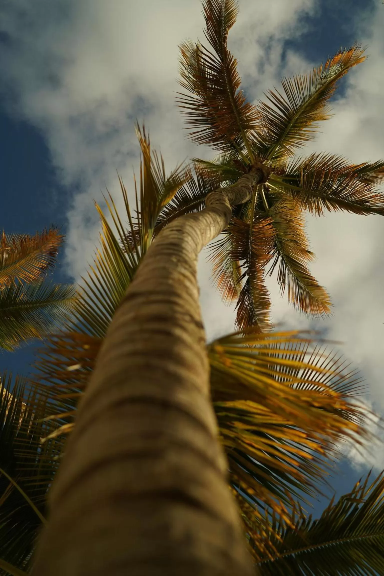 Day in Hotel Fariones