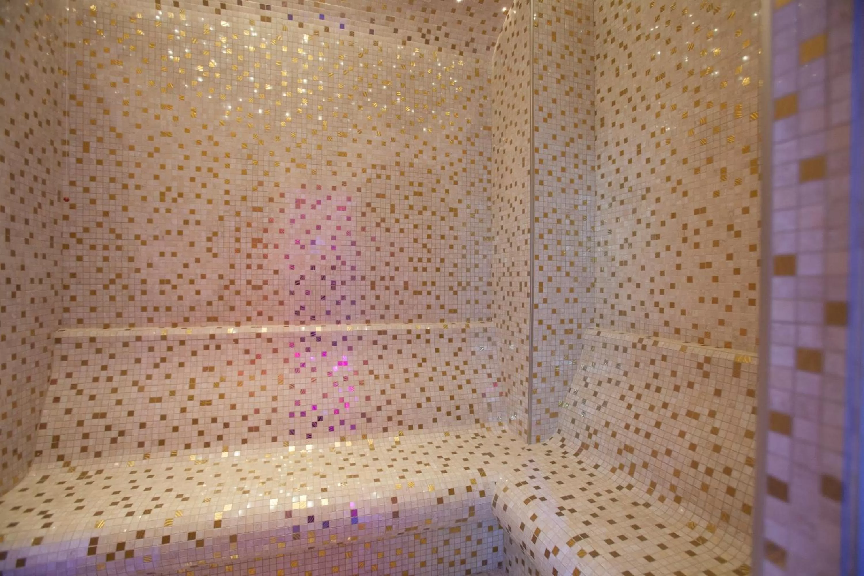 Sauna in Mh Florence Hotel & Spa