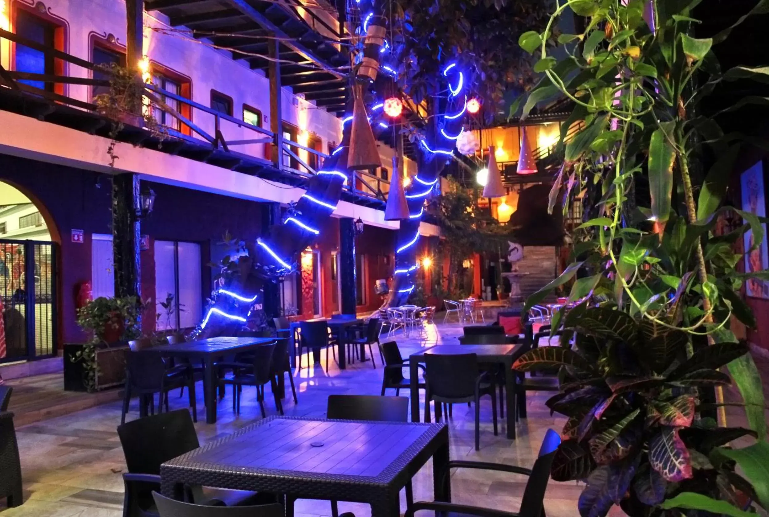Patio, Restaurant/Places to Eat in Hotel La Siesta
