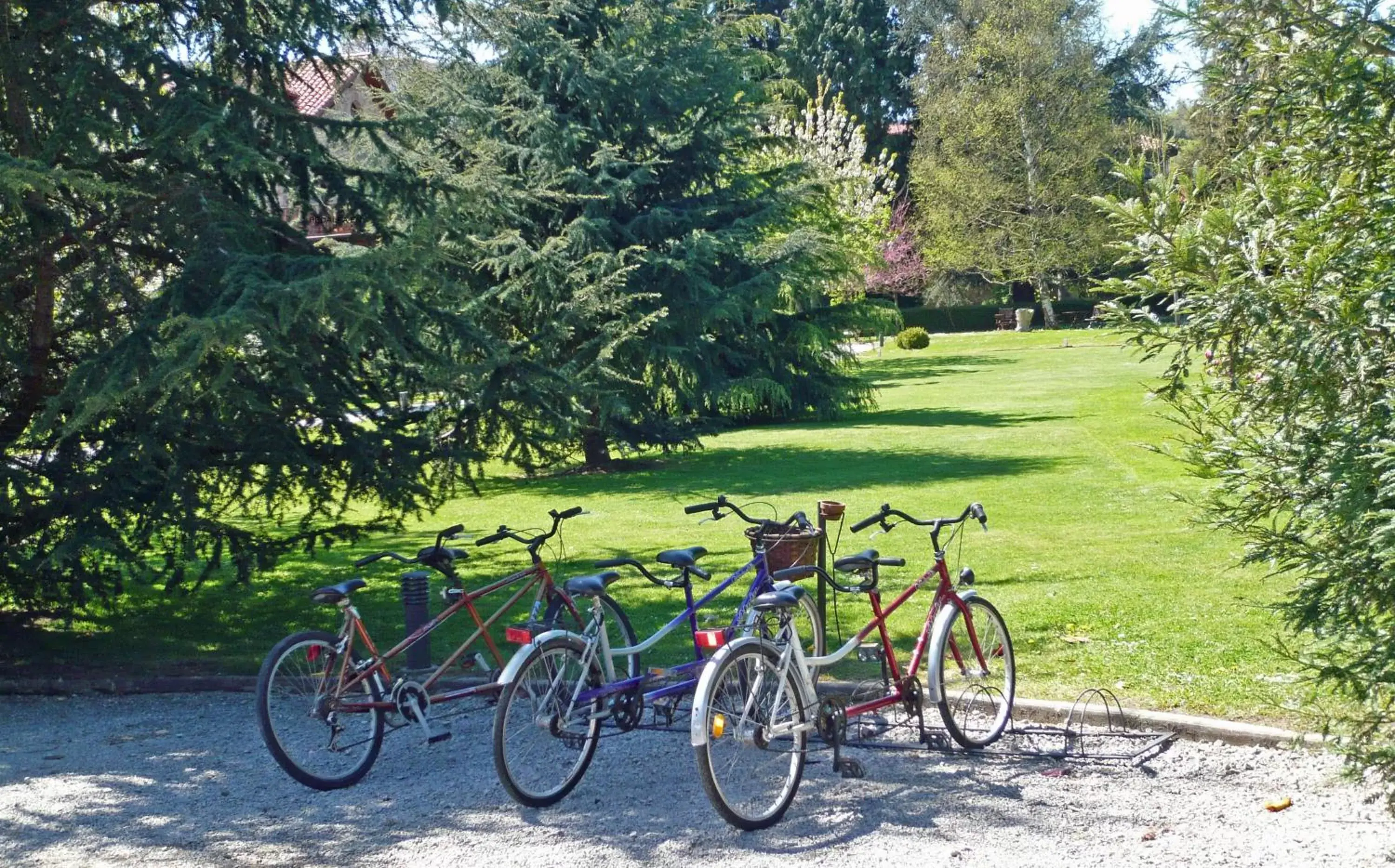 Other, Biking in Jardin de Carrejo