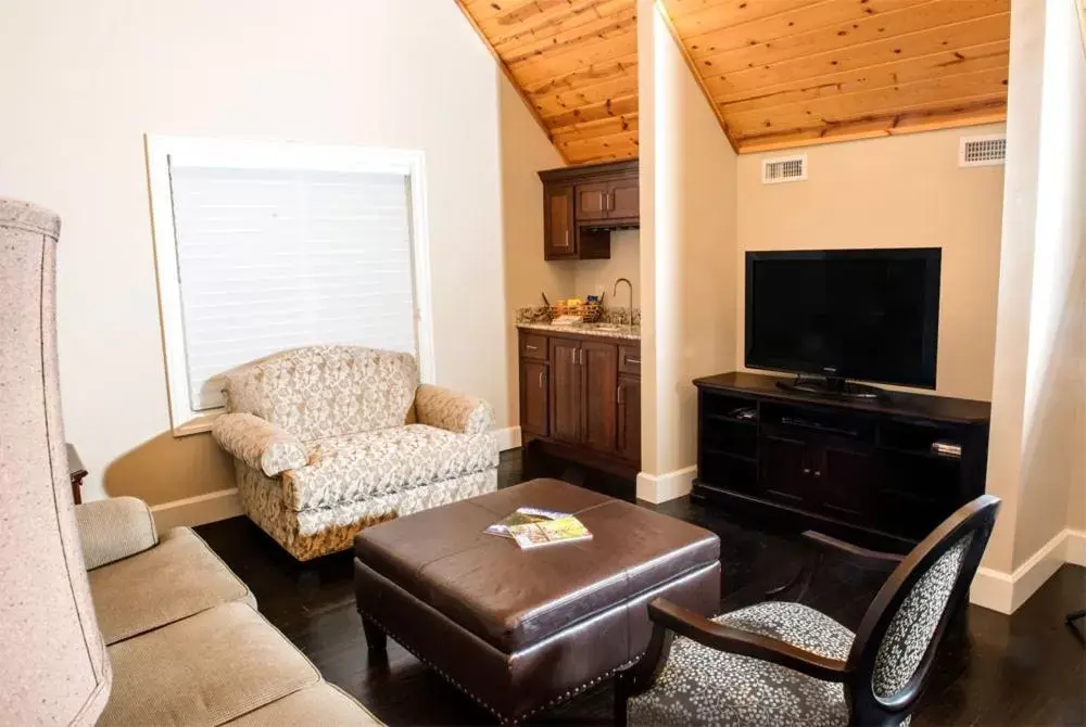 Living room, Lounge/Bar in Brasstown Valley Resort & Spa