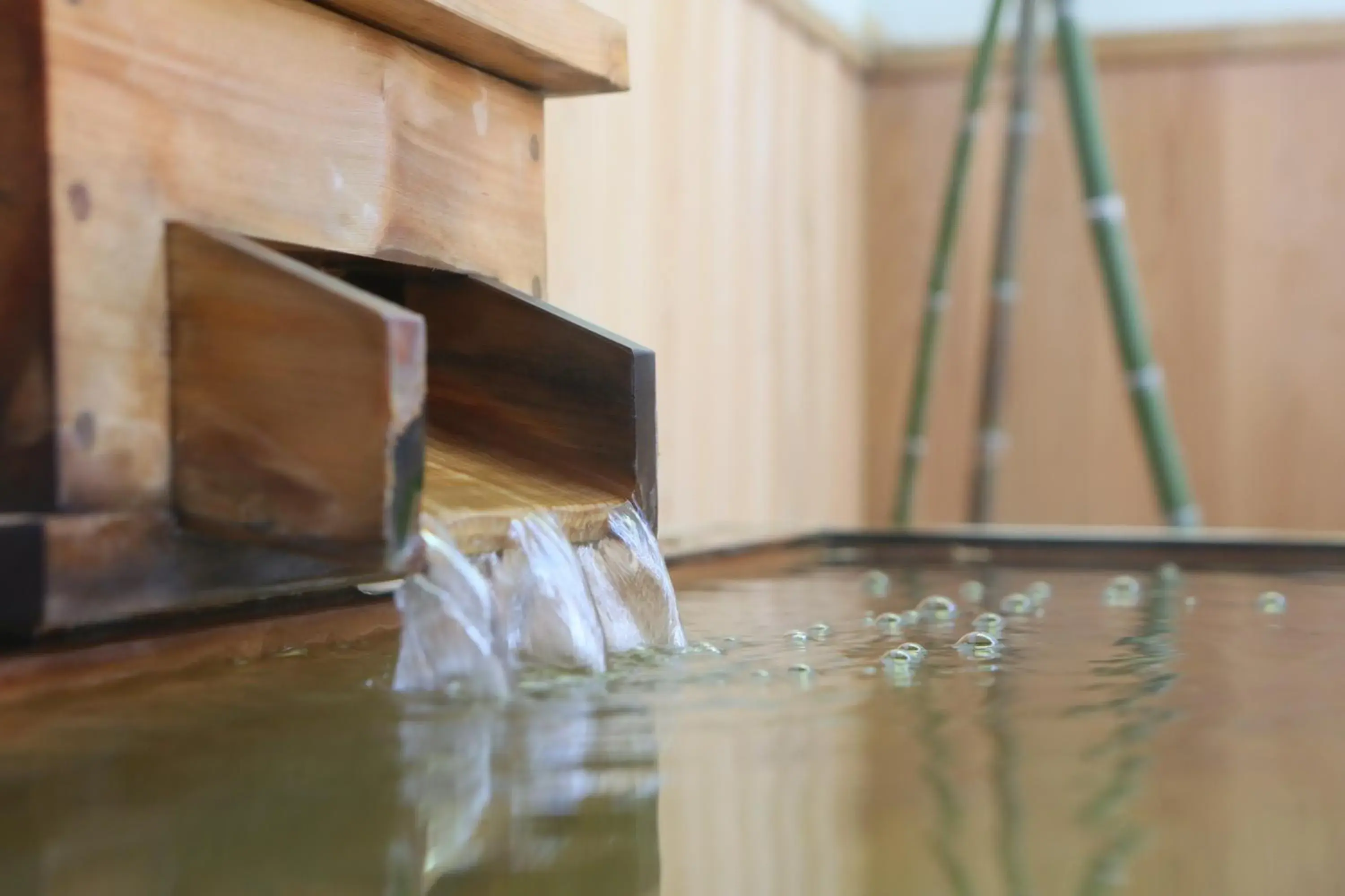 Hot Spring Bath in Hotel Tamanoyu