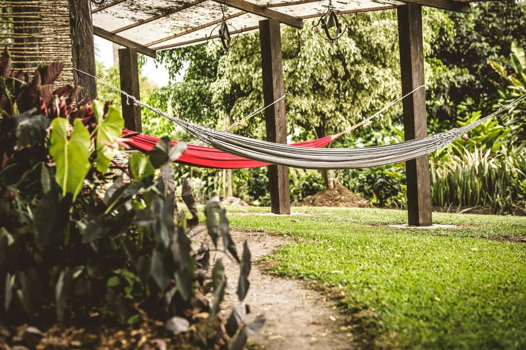 Garden in Hotel Delirio Campestre
