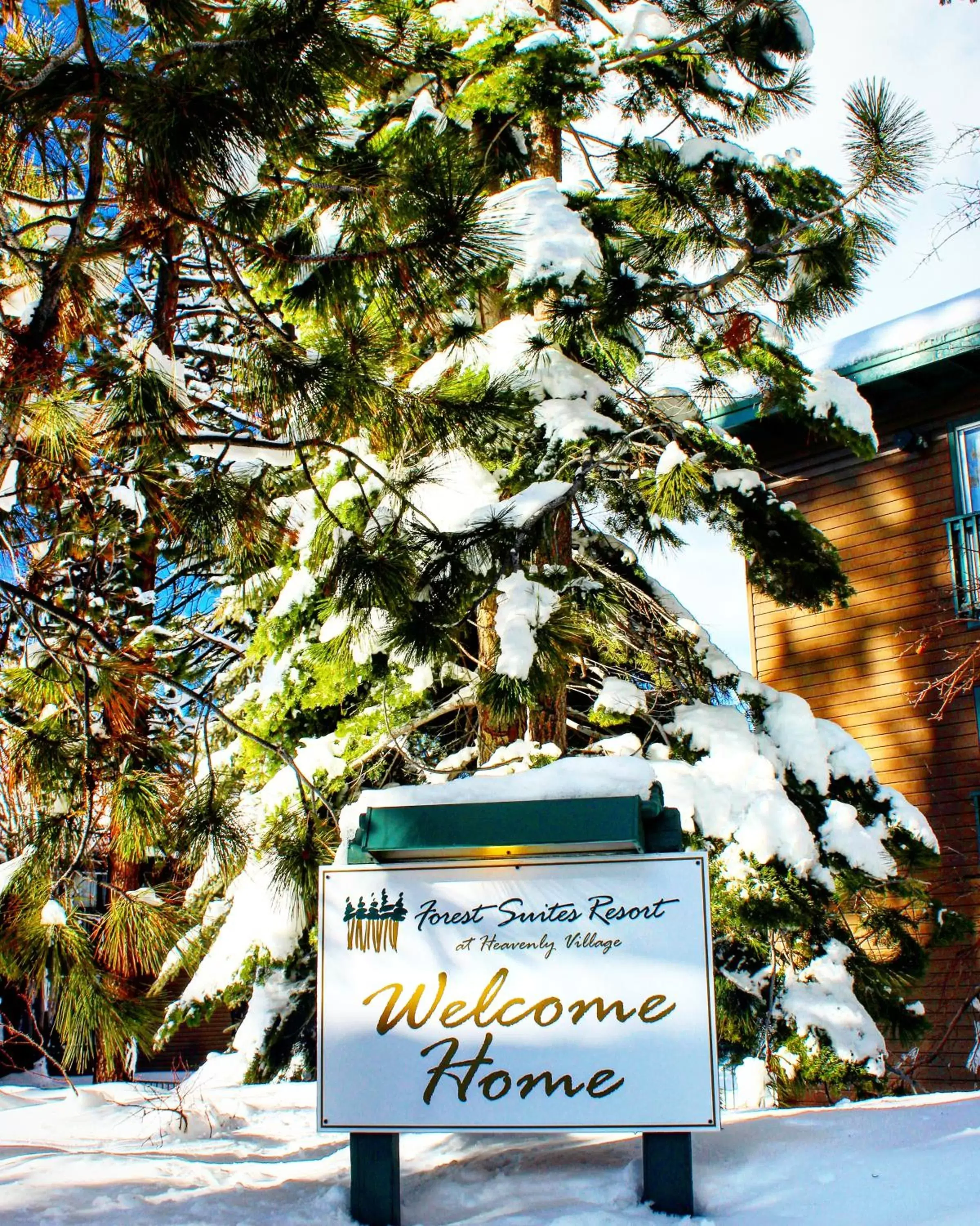 Property logo or sign in Forest Suites Resort at the Heavenly Village