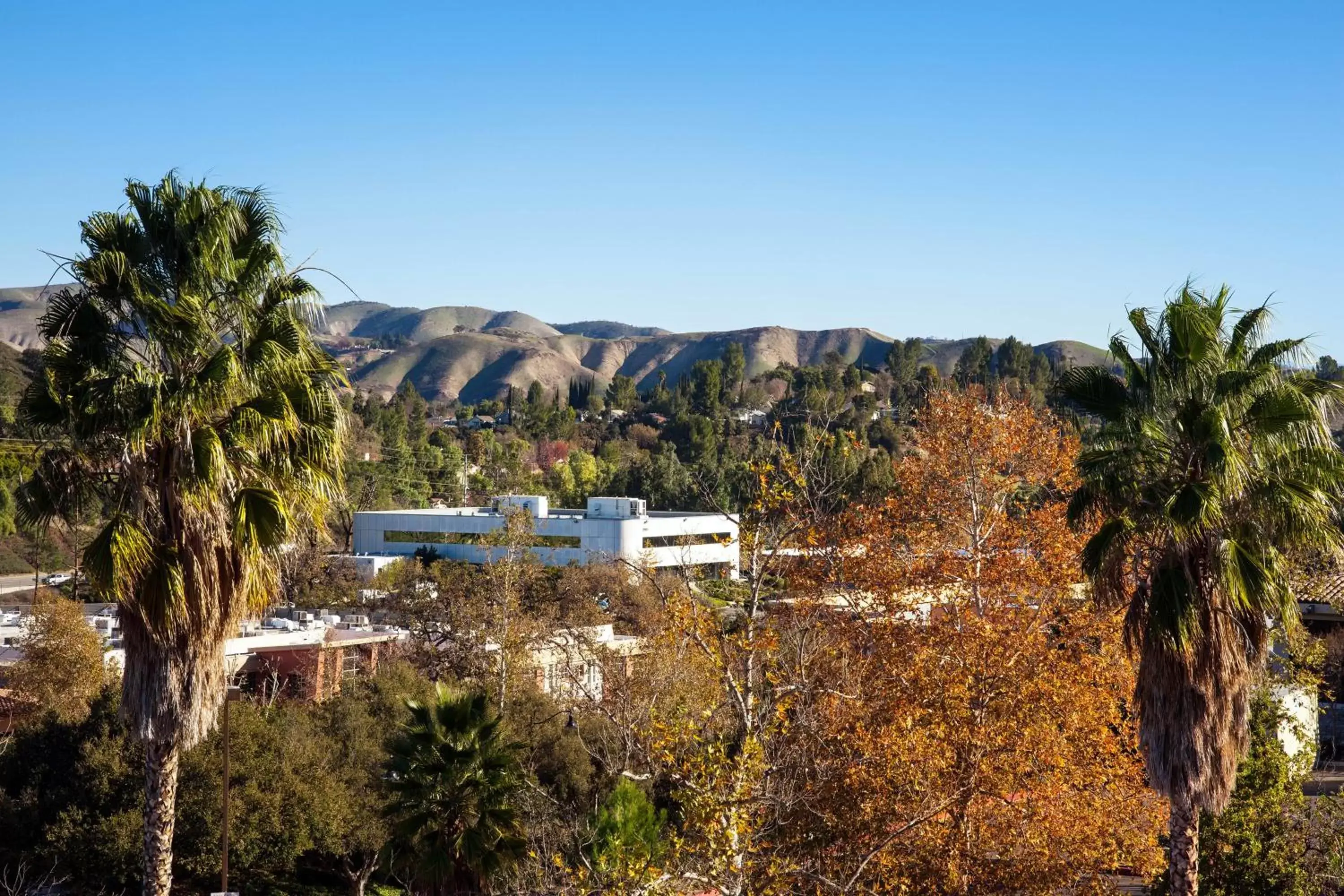 Other in Sheraton Agoura Hills Hotel