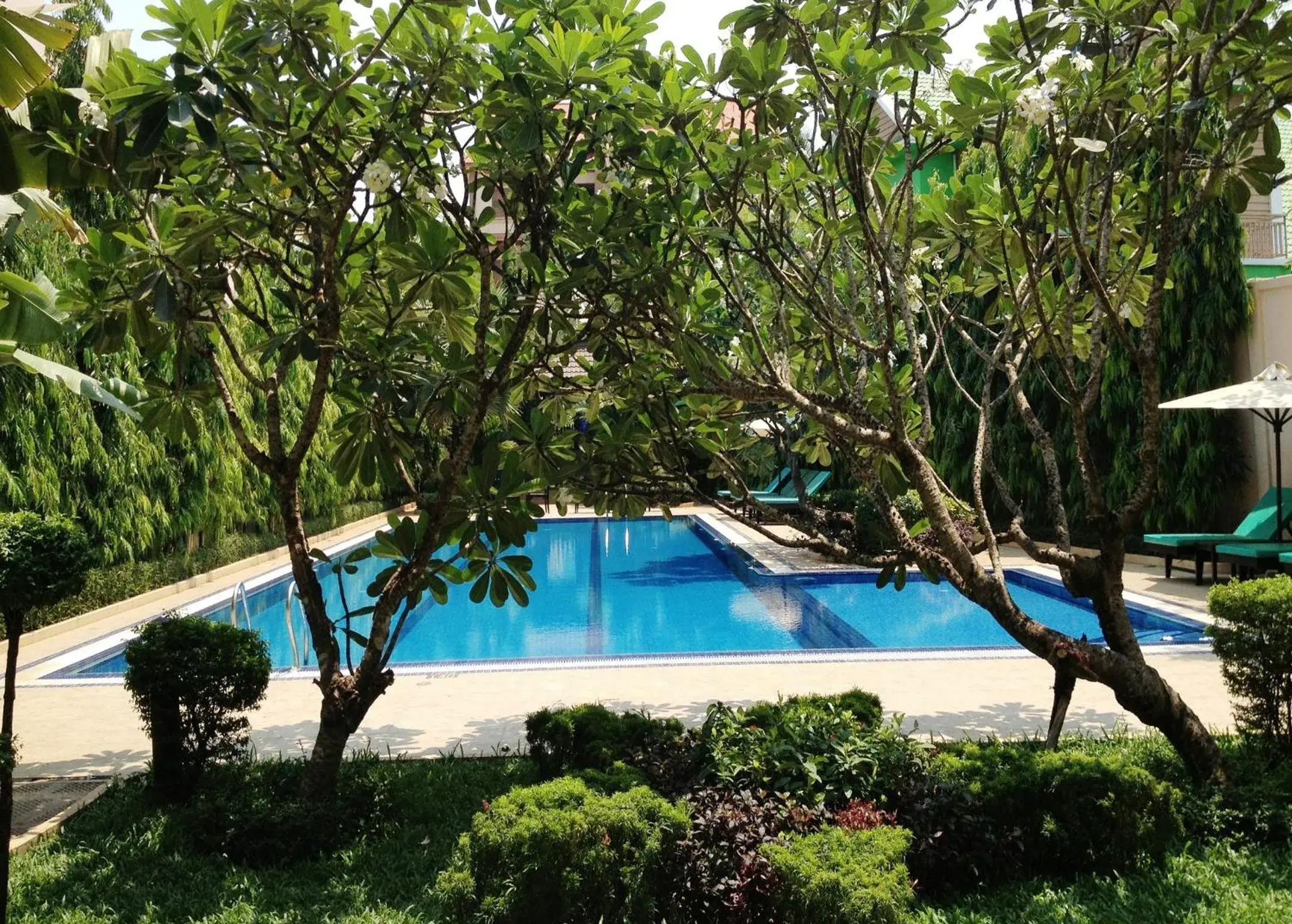 Garden, Swimming Pool in Starry Angkor Hotel