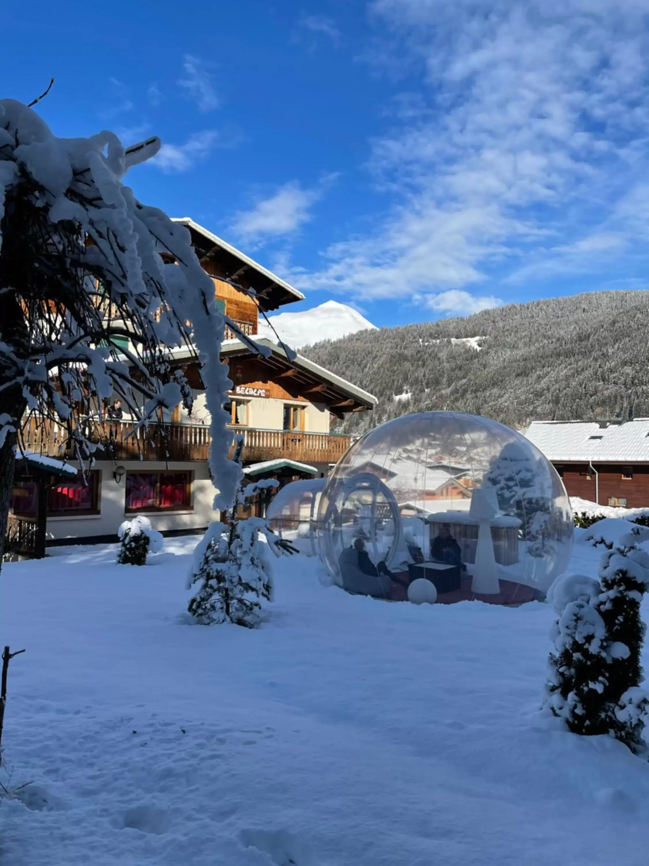 Natural landscape, Winter in Hotel Bel'alpe