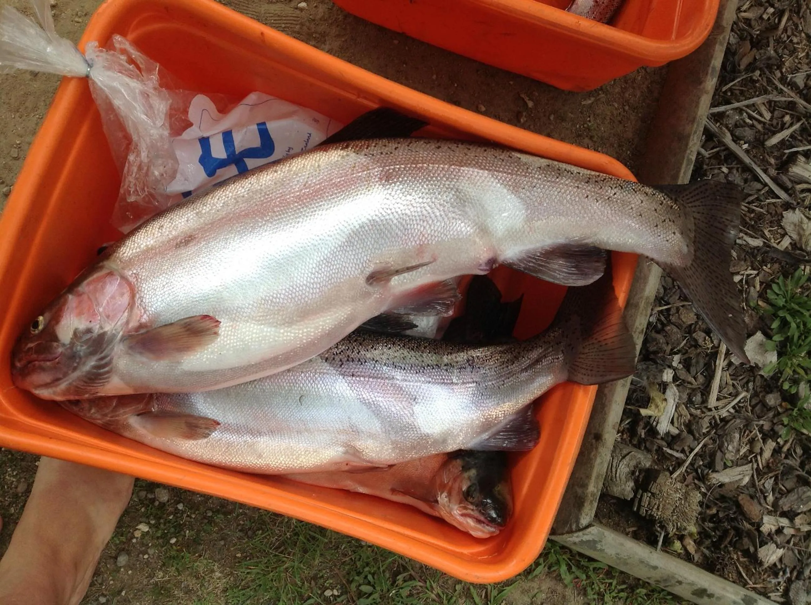 Fishing in All Seasons Holiday Park