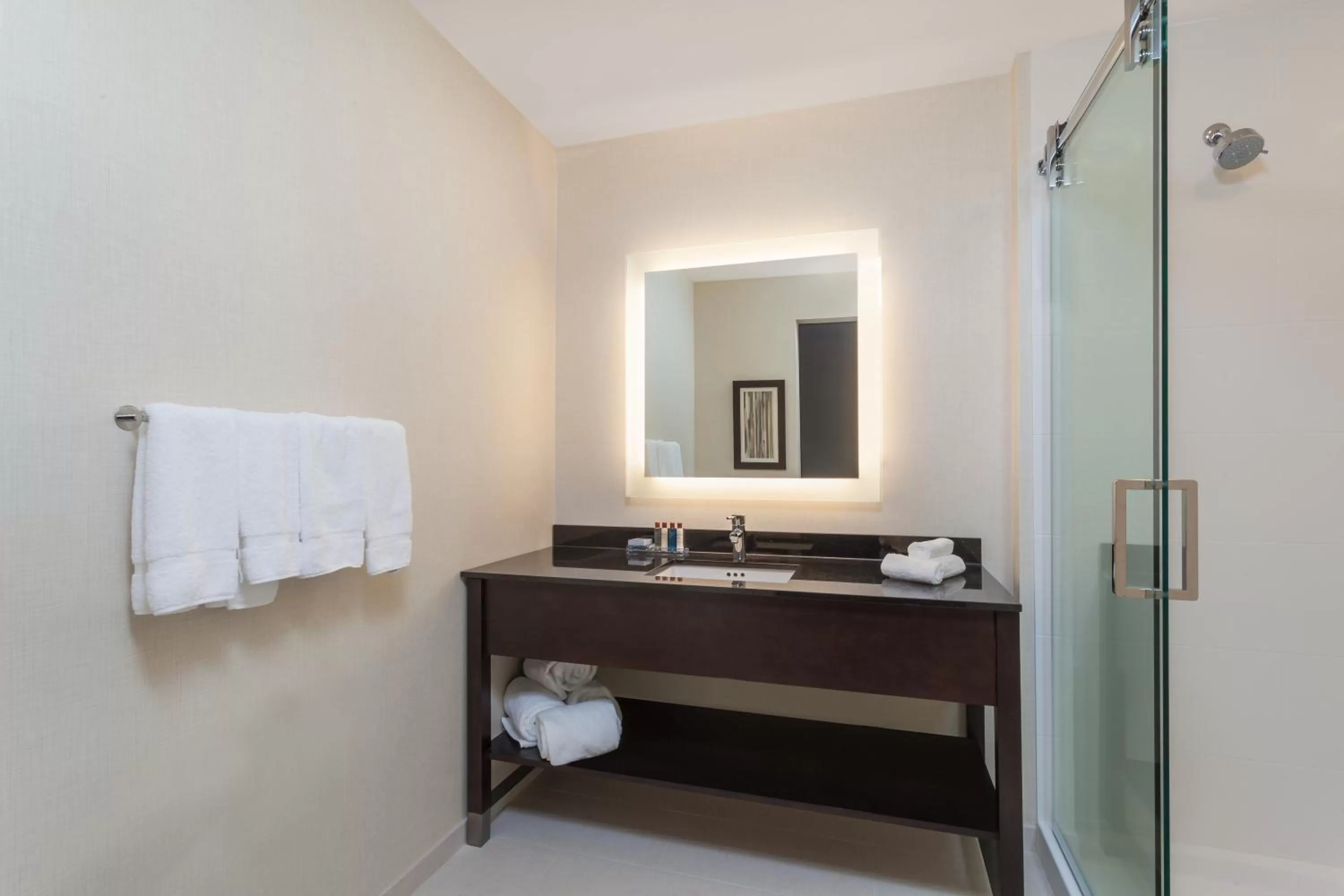 Bathroom in Wingate by Wyndham Altoona Downtown/Medical Center