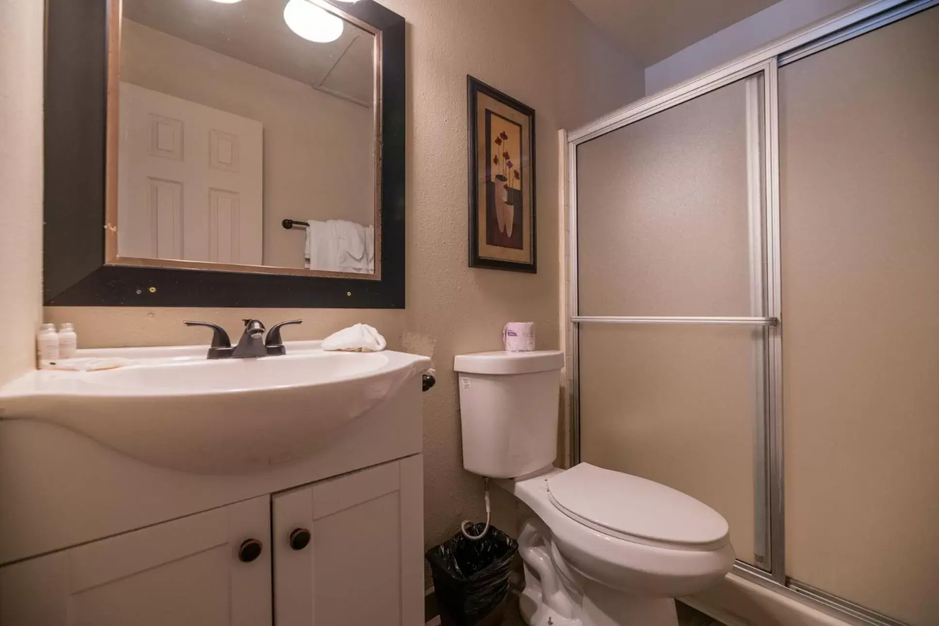 Bathroom in Black Forest Lodge