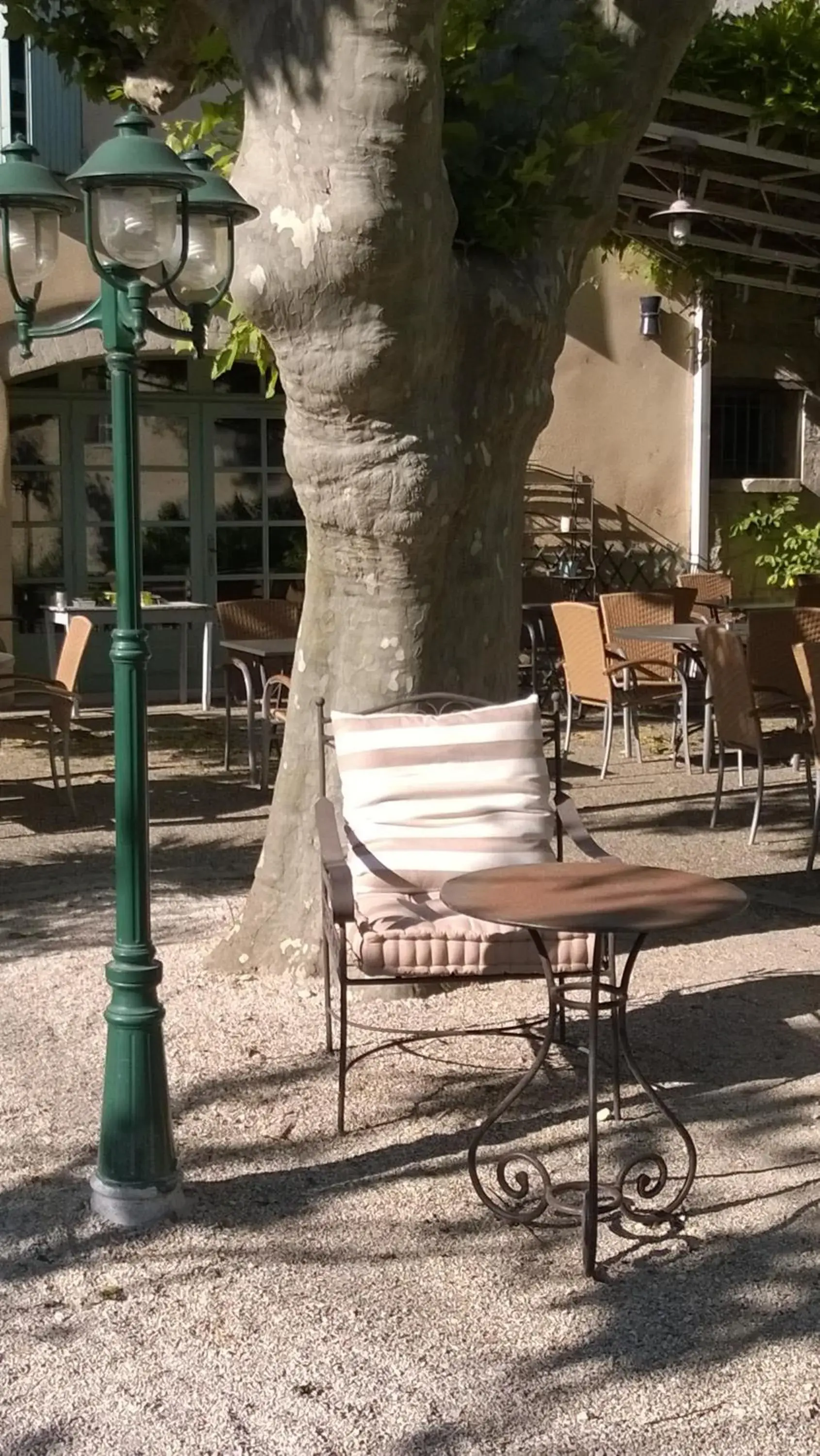 Garden in Hotel Restaurant la Ferme