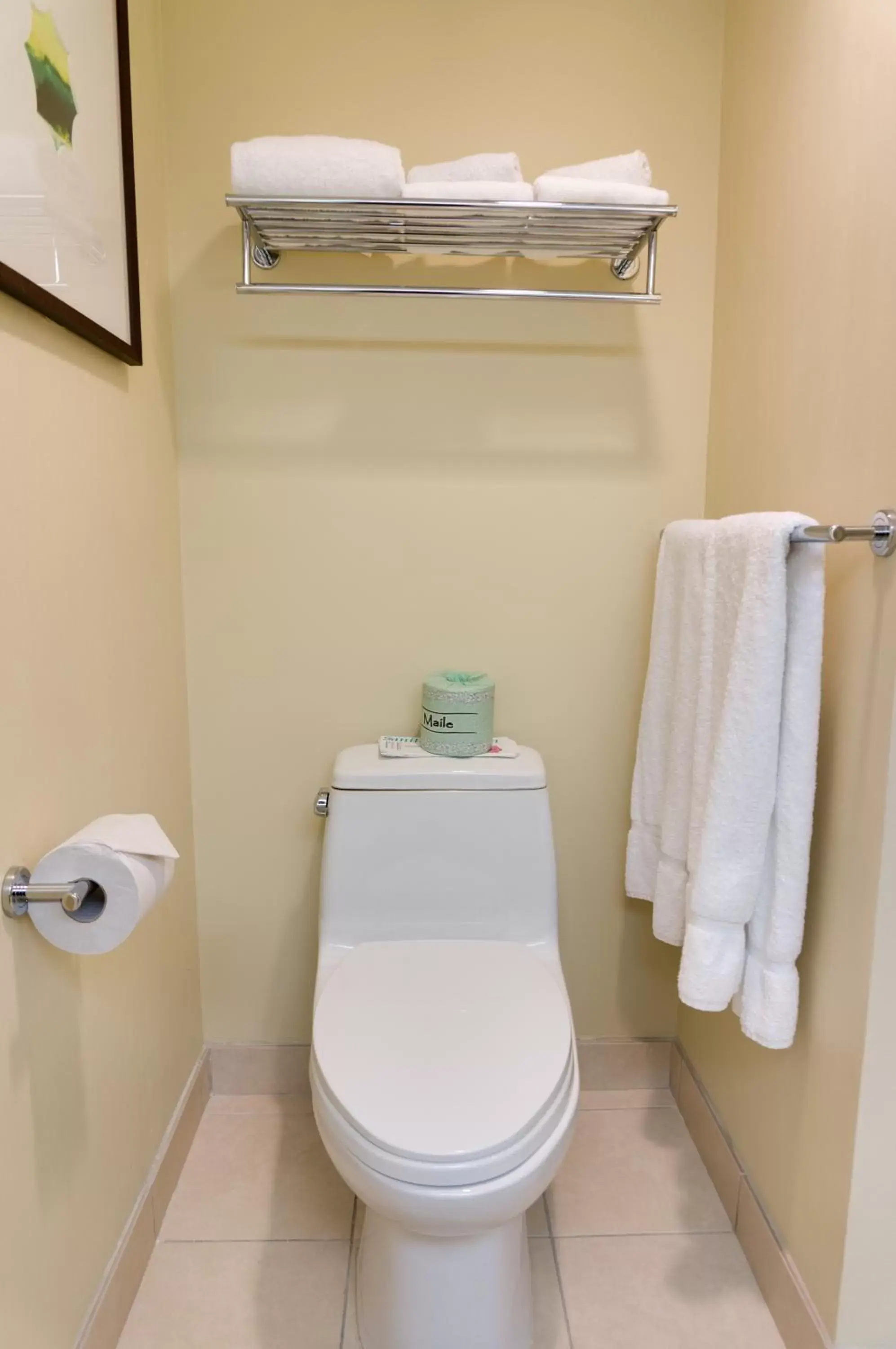 Toilet, Bathroom in Aqua Oasis