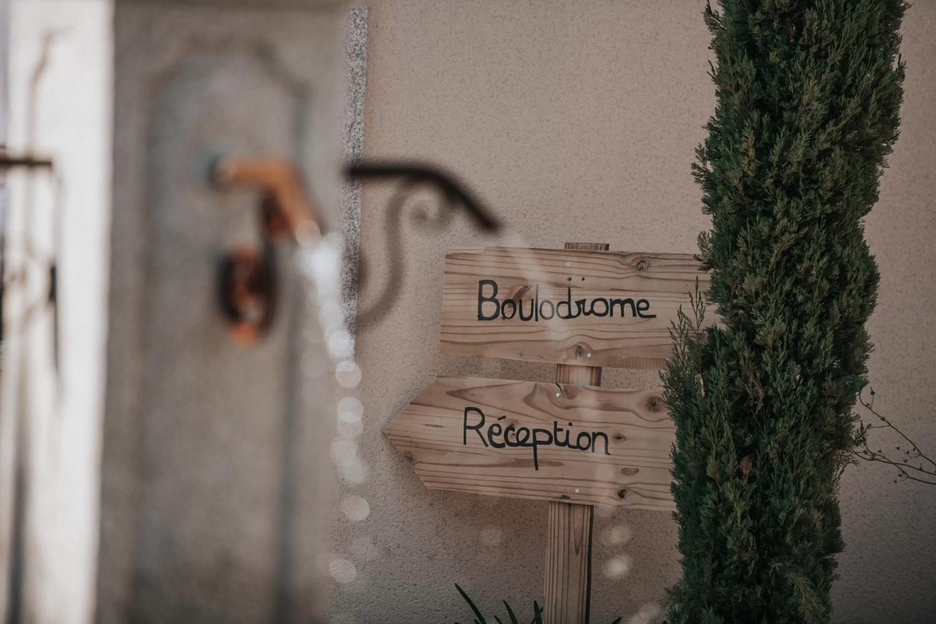 Entertainment in Mercure Avignon Gare TGV