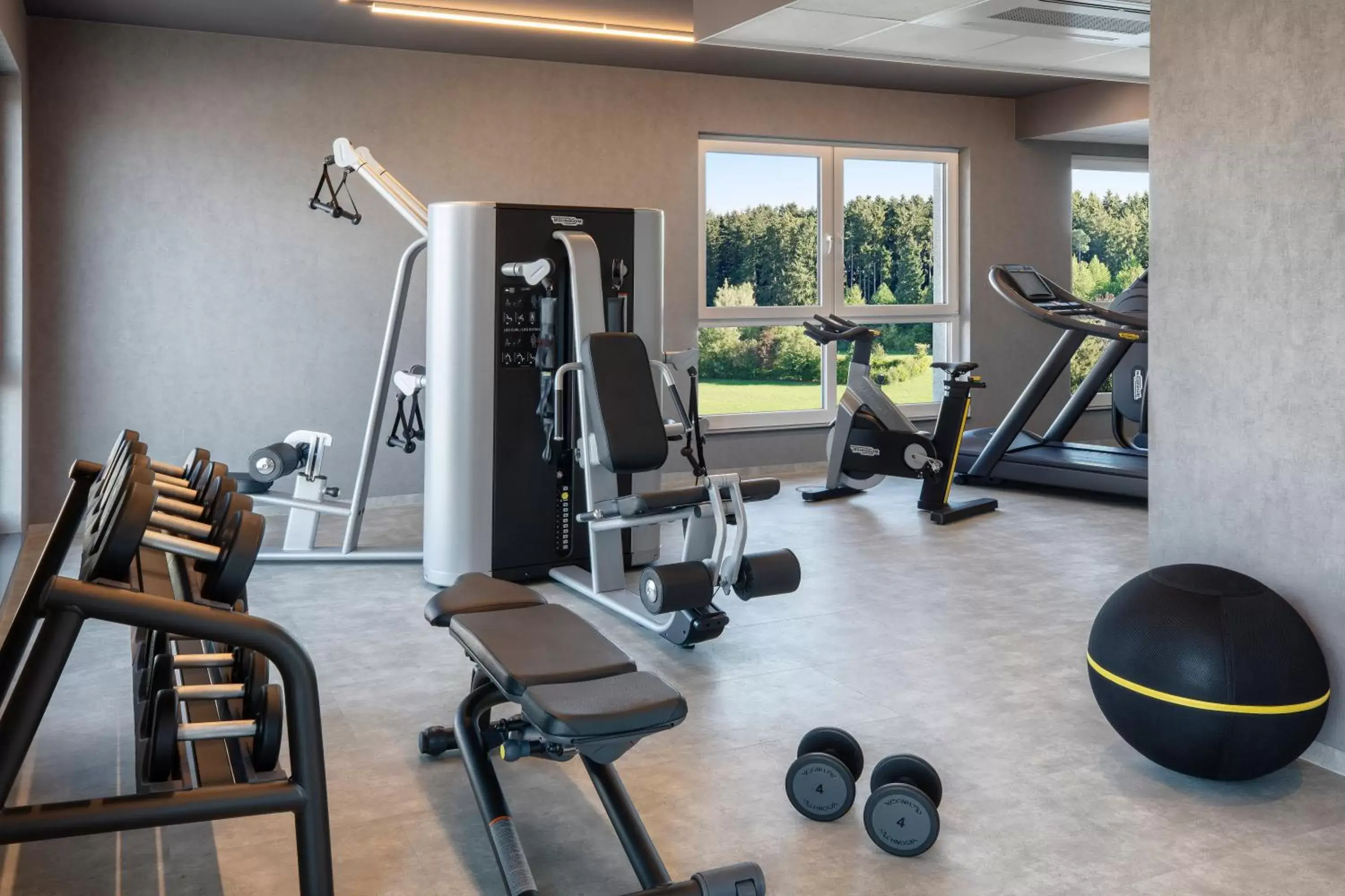 Fitness centre/facilities, Fitness Center/Facilities in Holiday Inn - Villingen - Schwenningen, an IHG Hotel