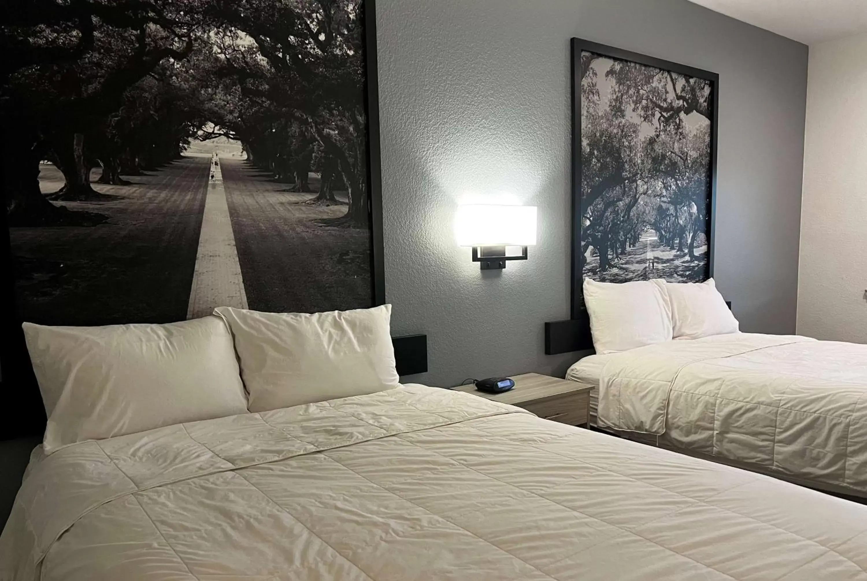 Photo of the whole room, Bed in Super 8 by Wyndham Rosenberg TX