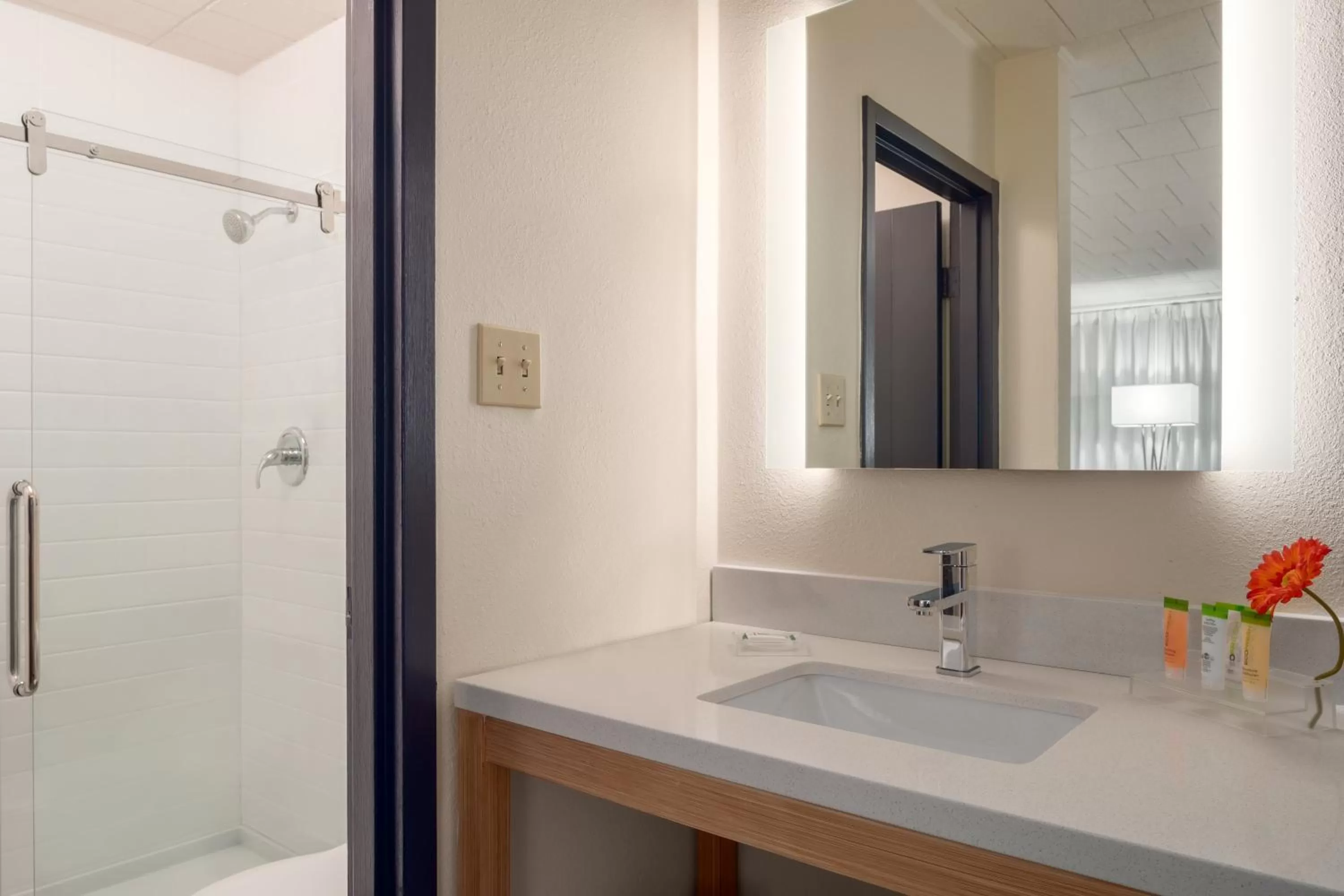 Bathroom in Ramada by Wyndham Indiana
