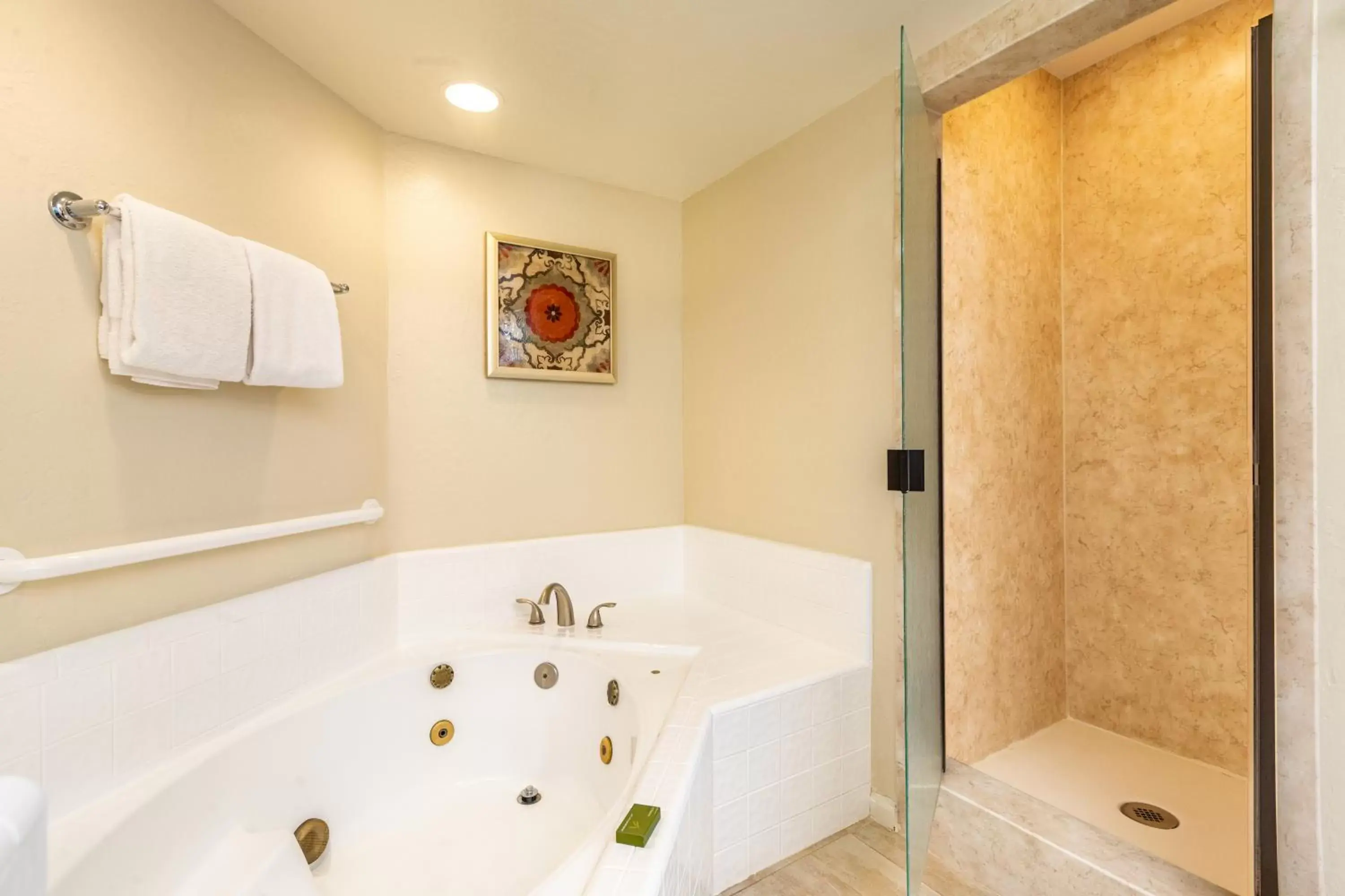 Shower, Bathroom in Scottsdale Camelback Resort