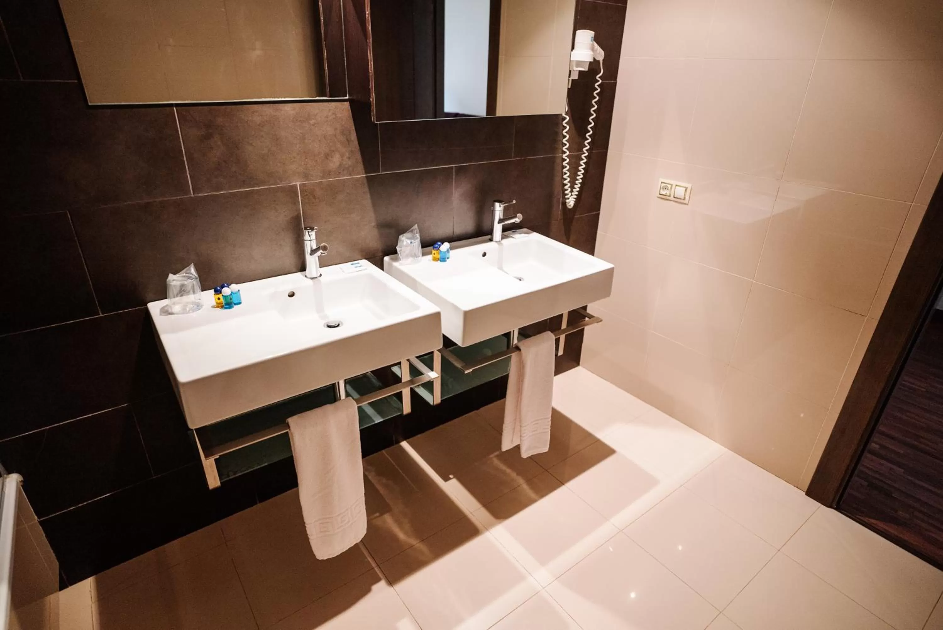 RICE Palacio de los Blasones