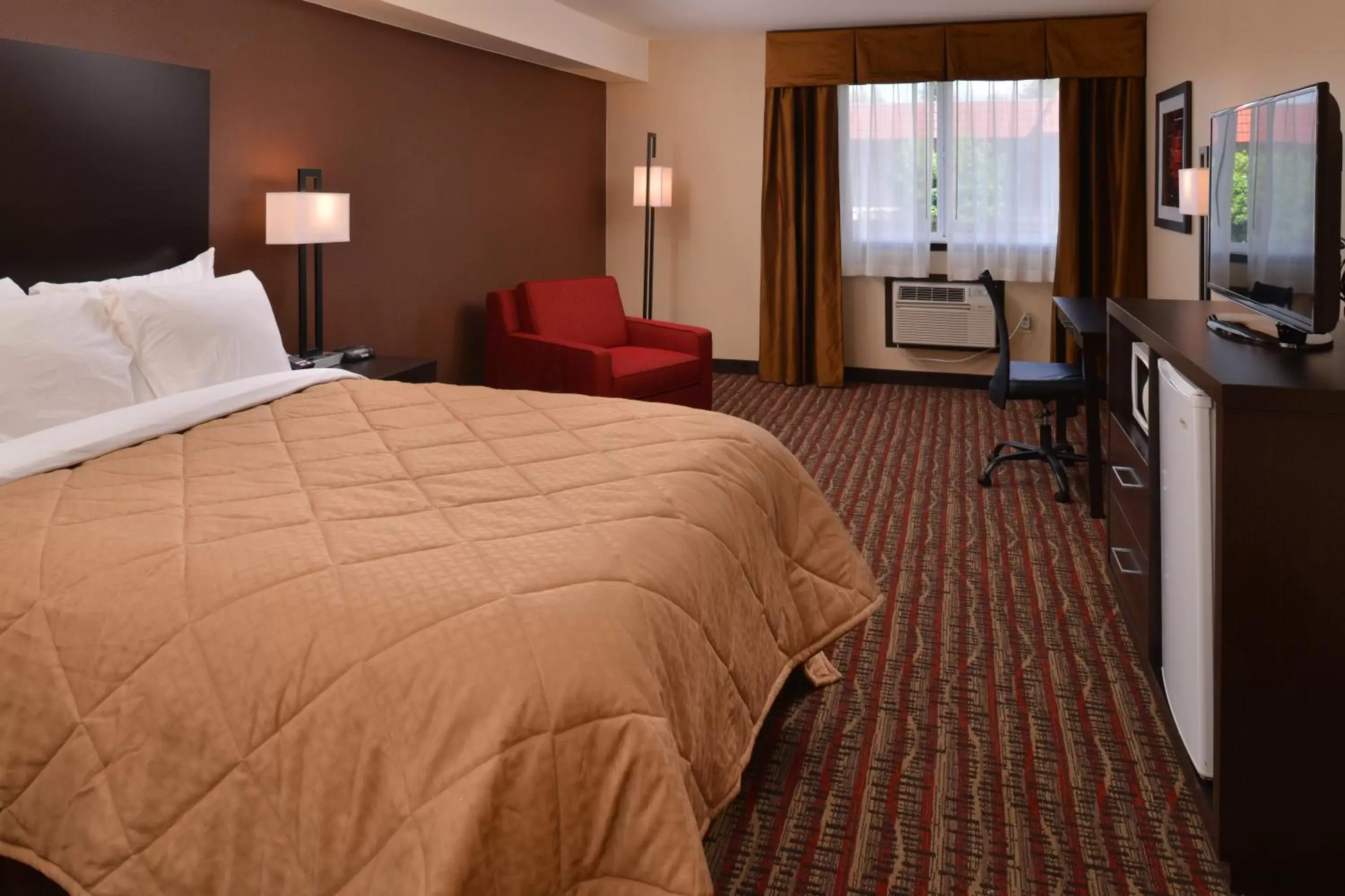 Photo of the whole room, Bed in Quality Inn & Suites Tacoma - Seattle