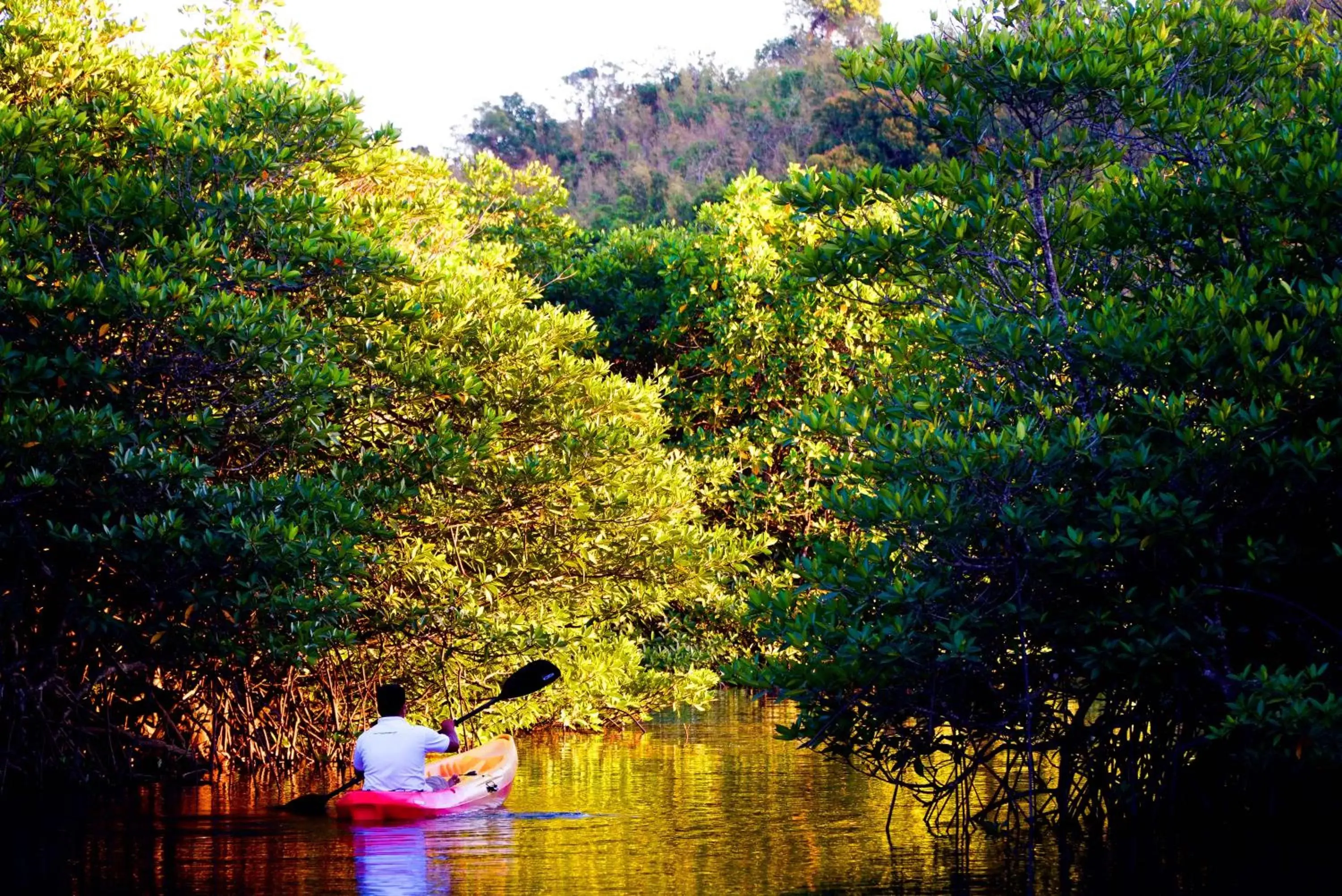 Activities in Bacau Bay Resort Coron