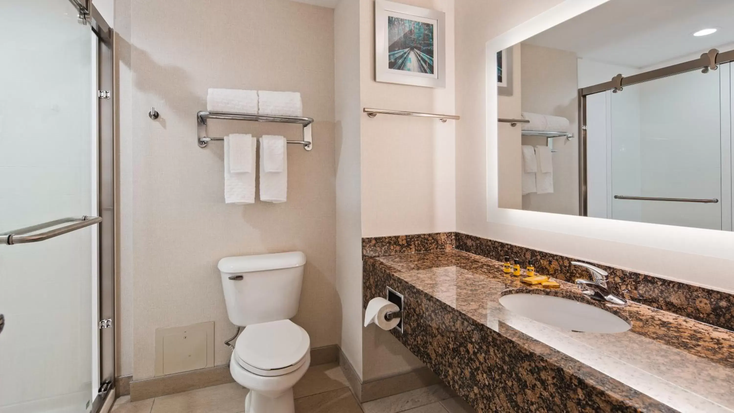 Bathroom in Best Western Plus Wilkes Barre-Scranton Airport Hotel
