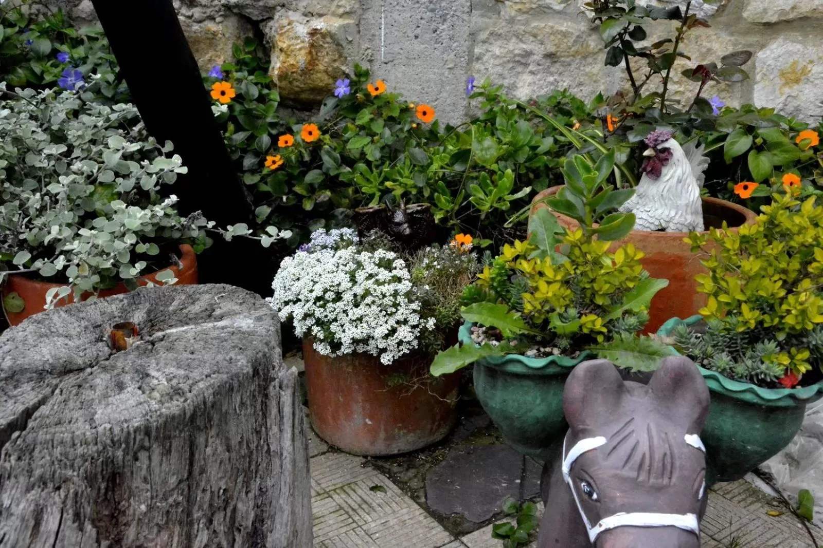 Patio in El Pedregal Sopó