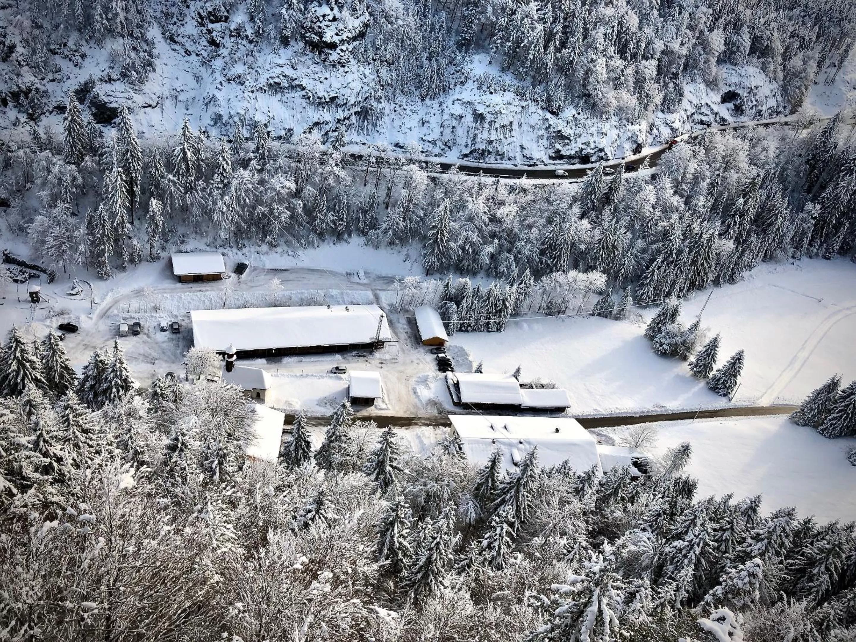 Restaurant/places to eat in Gasthof Salzstadl