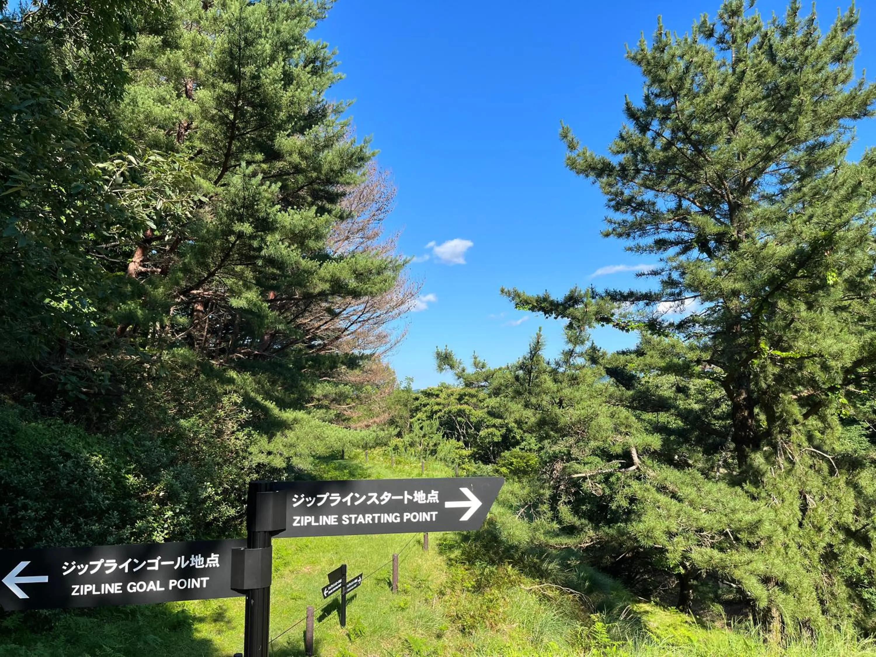 Day in Hotel Laforet Shuzenji