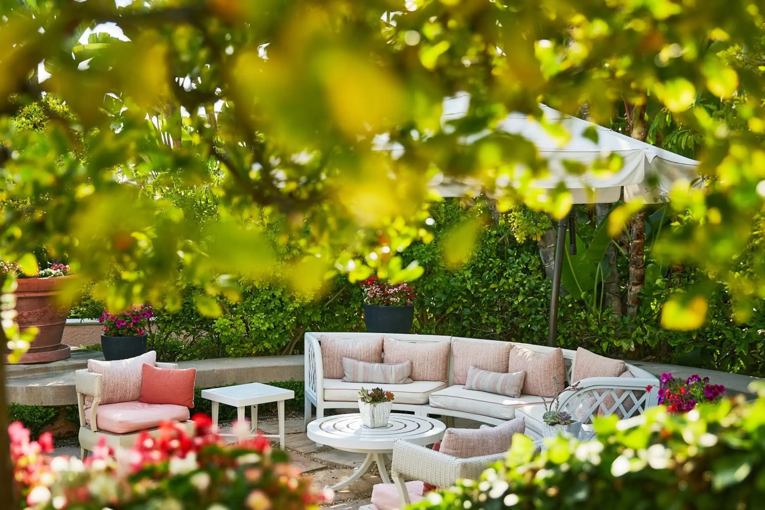 Garden in The Beverly Hills Hotel - Dorchester Collection
