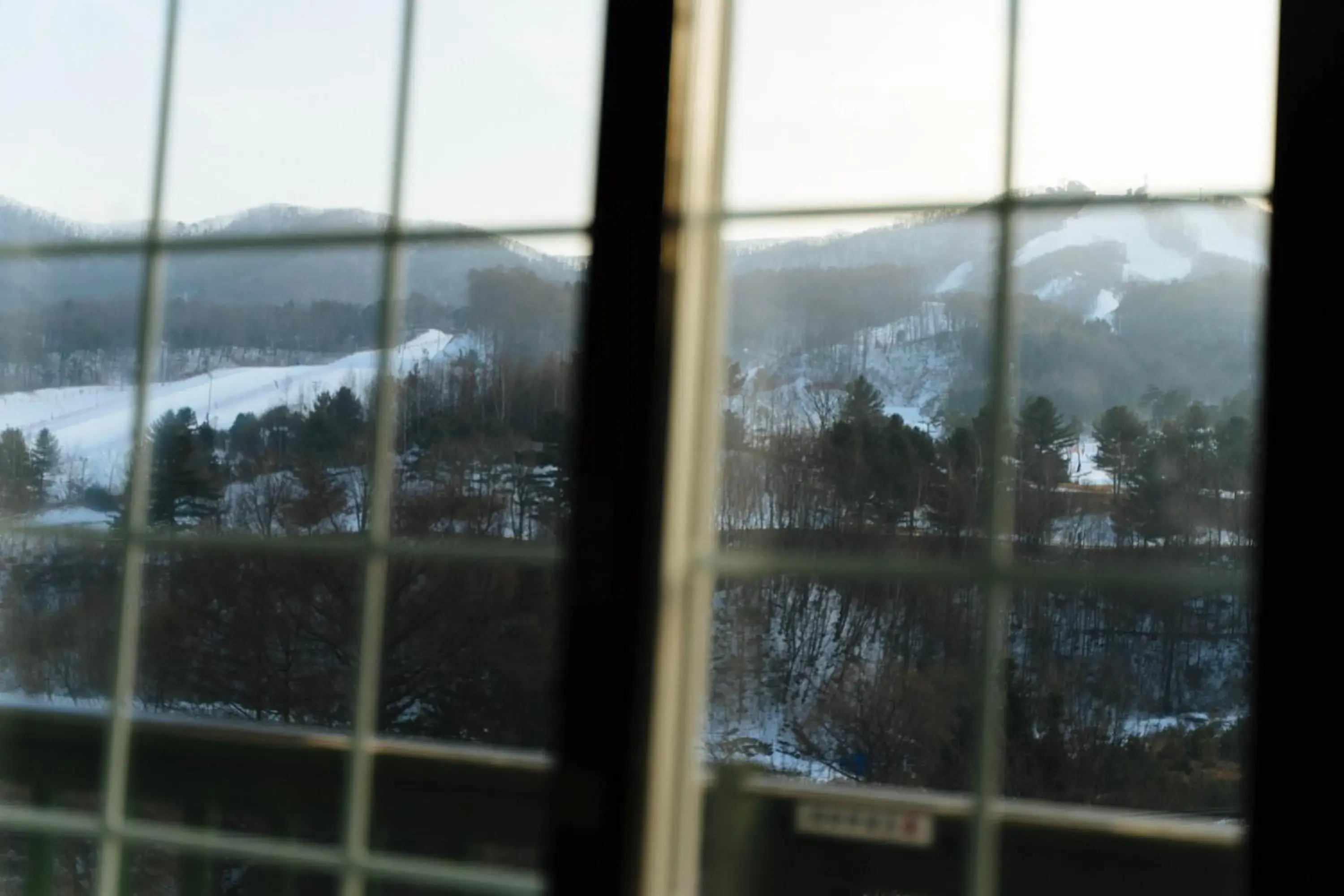 Landmark view, Winter in White Cabin