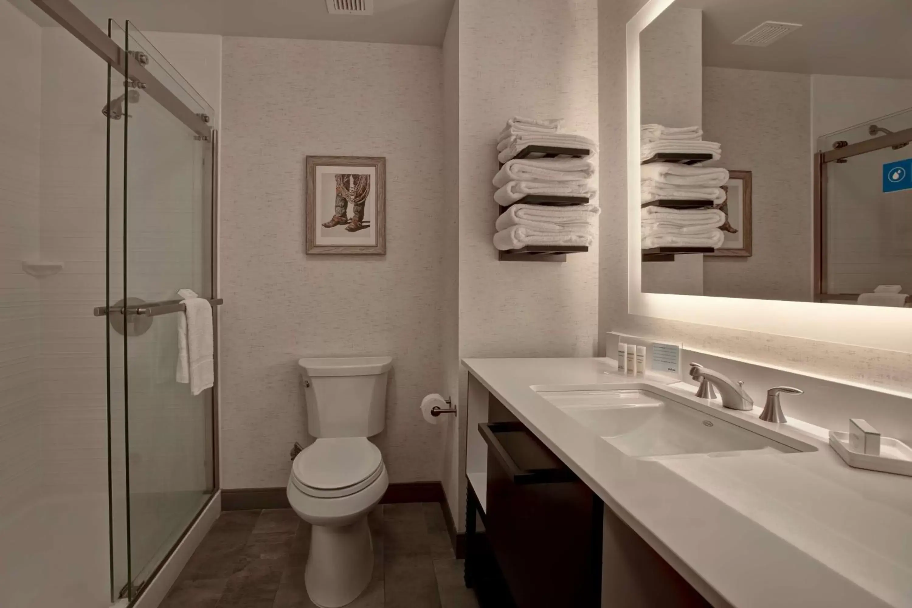 Bathroom in Hampton Inn & Suites San Antonio Riverwalk