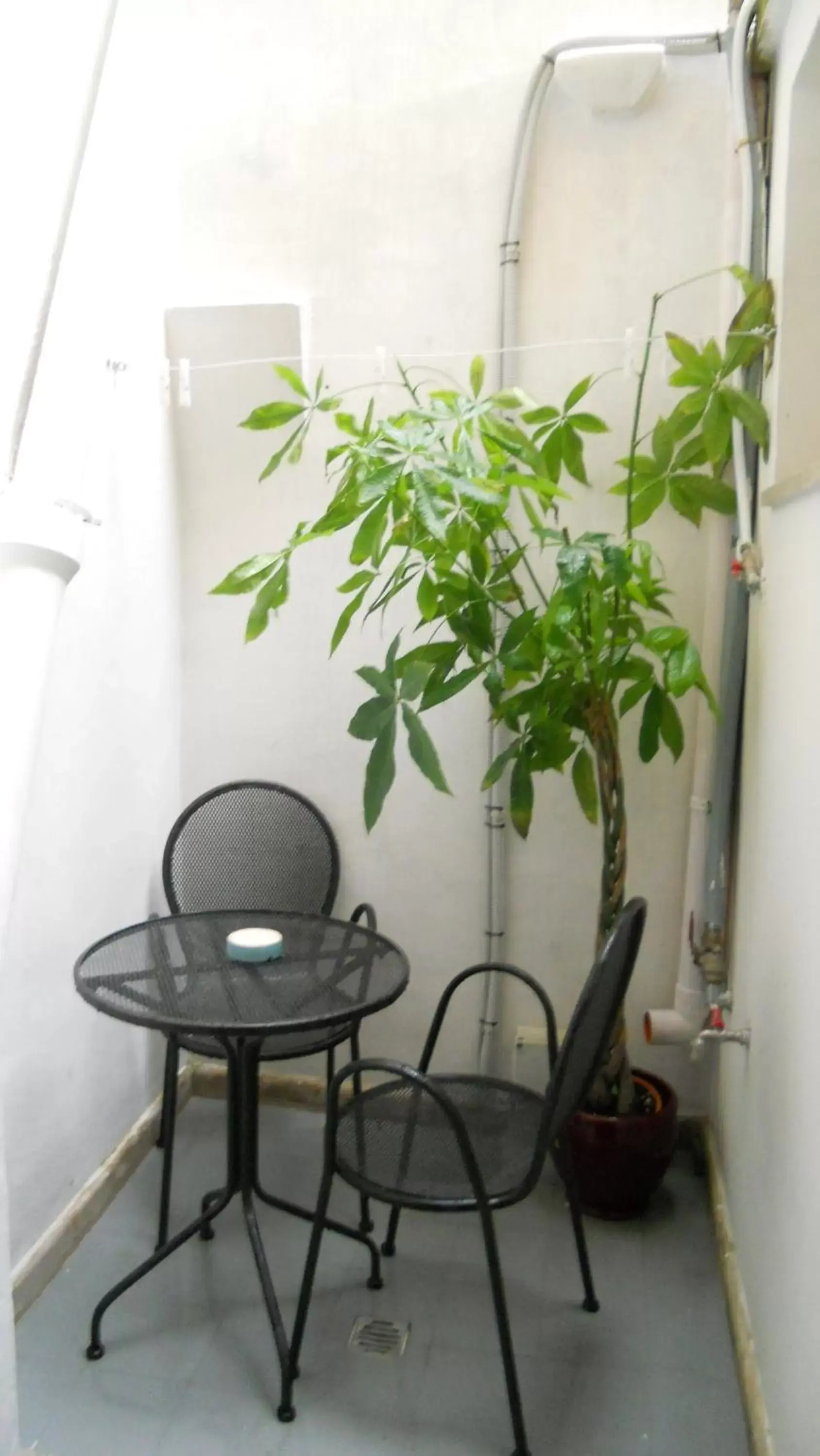 Patio, Seating Area in La Bella Lecce B&B