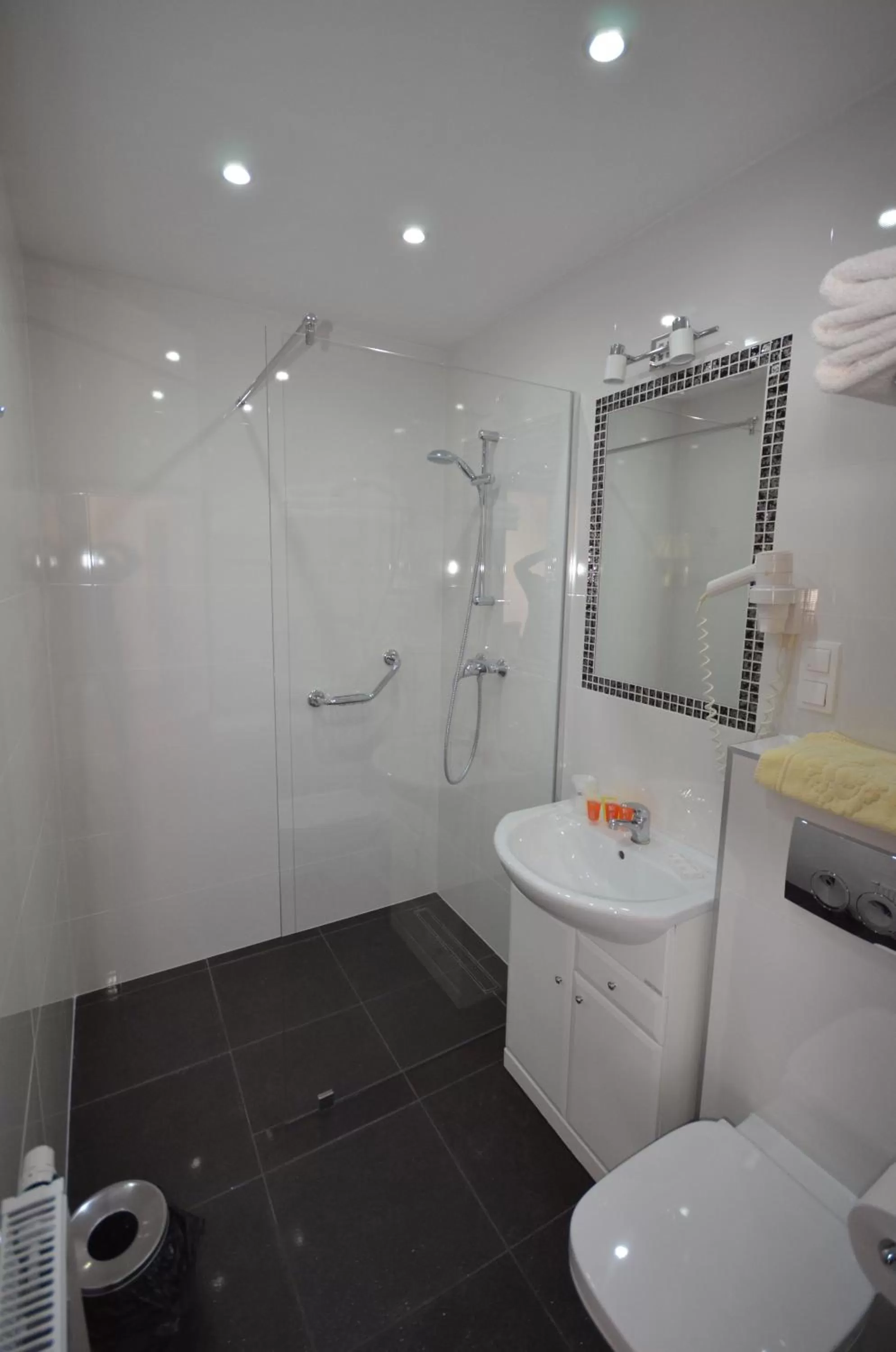 Shower in Hotel Jantar Wellness & Spa