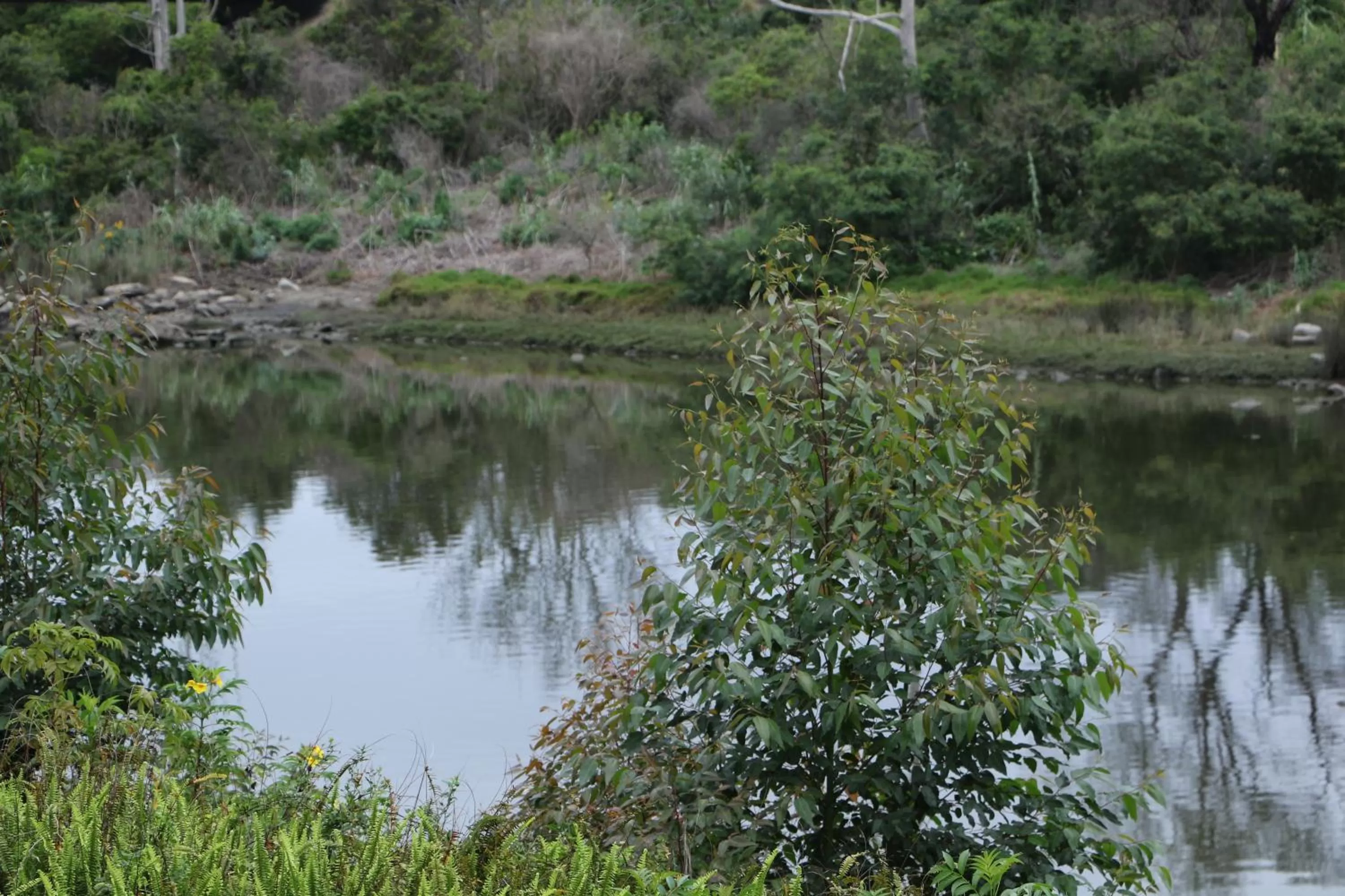Fishing in Forword's River Lodge