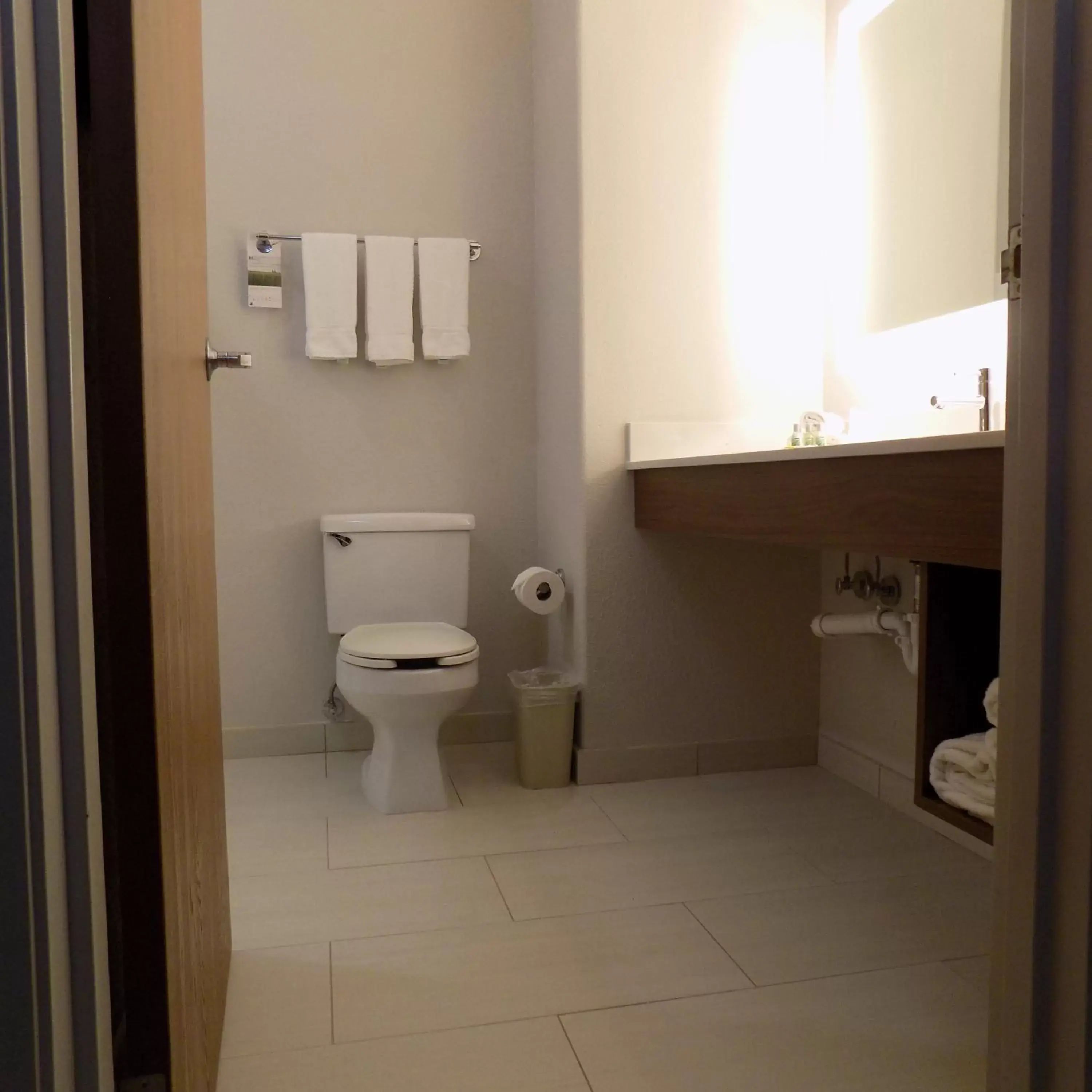 Bathroom in Holiday Inn Express Hotel & Suites Mission-McAllen Area, an IHG Hotel