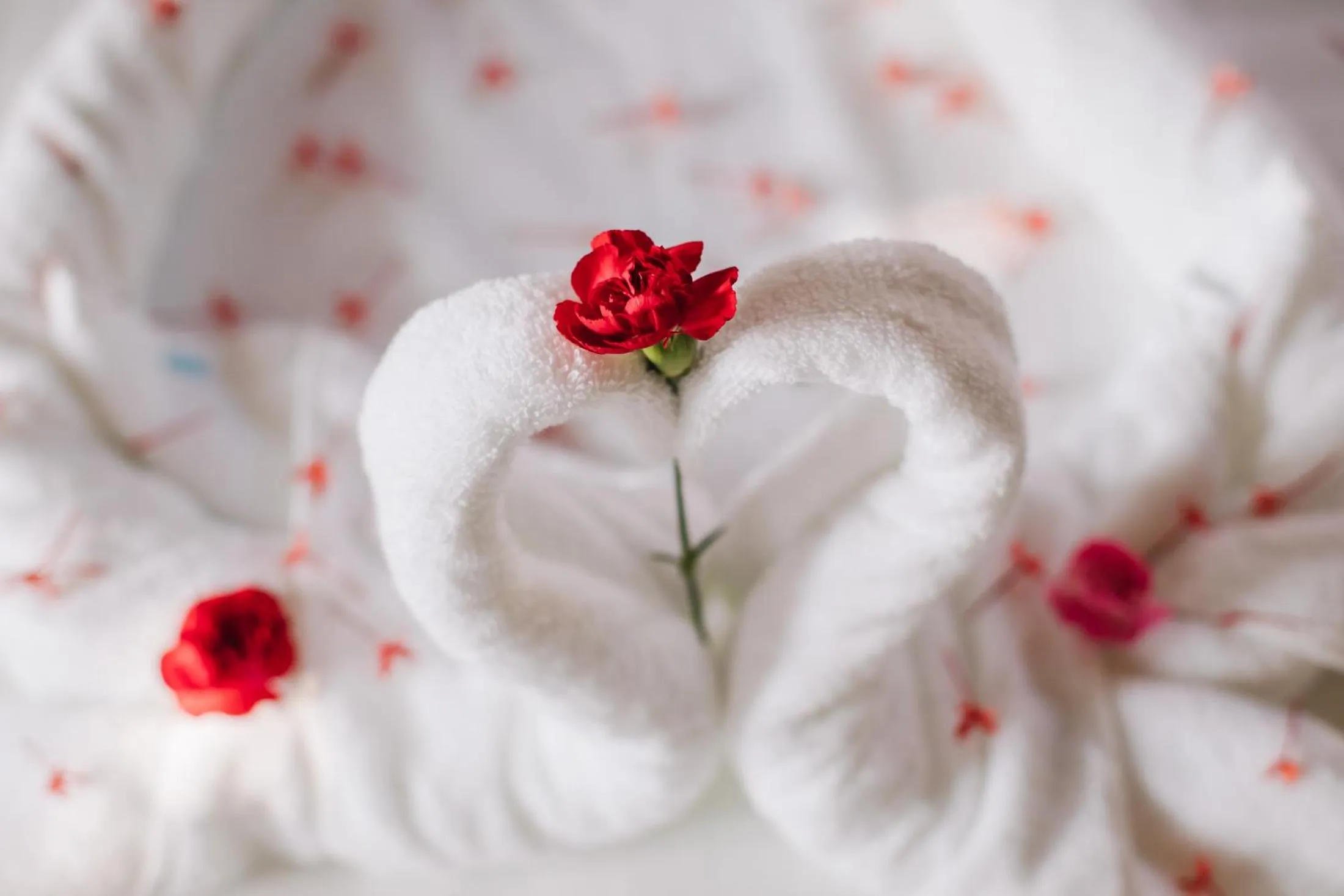 Decorative detail in Palm Hills Resort