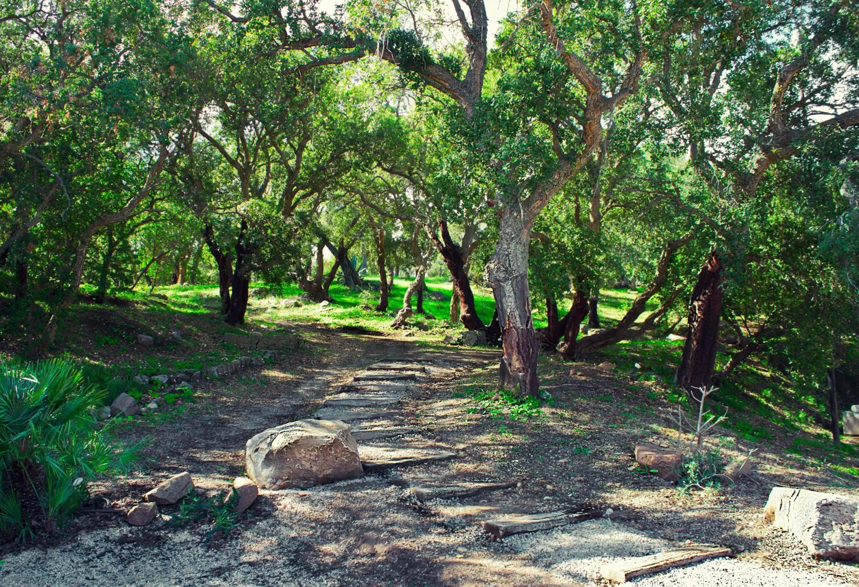 Mountain view in Vallegrande Nature Resort by Geocharme Mountain view in Vallegrande Nature Resort by Geocharme