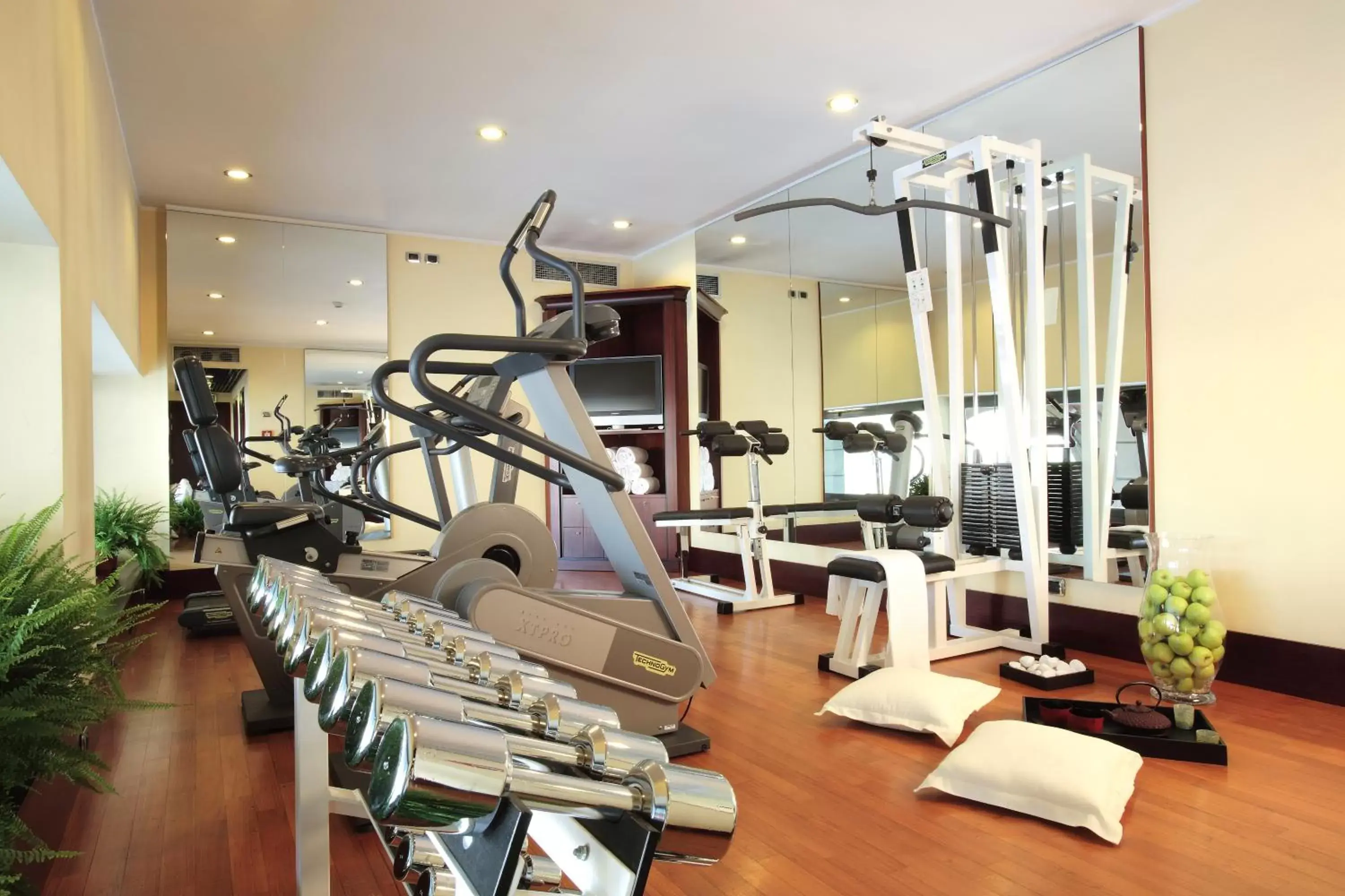 Fitness centre/facilities, Fitness Center/Facilities in Starhotels Excelsior