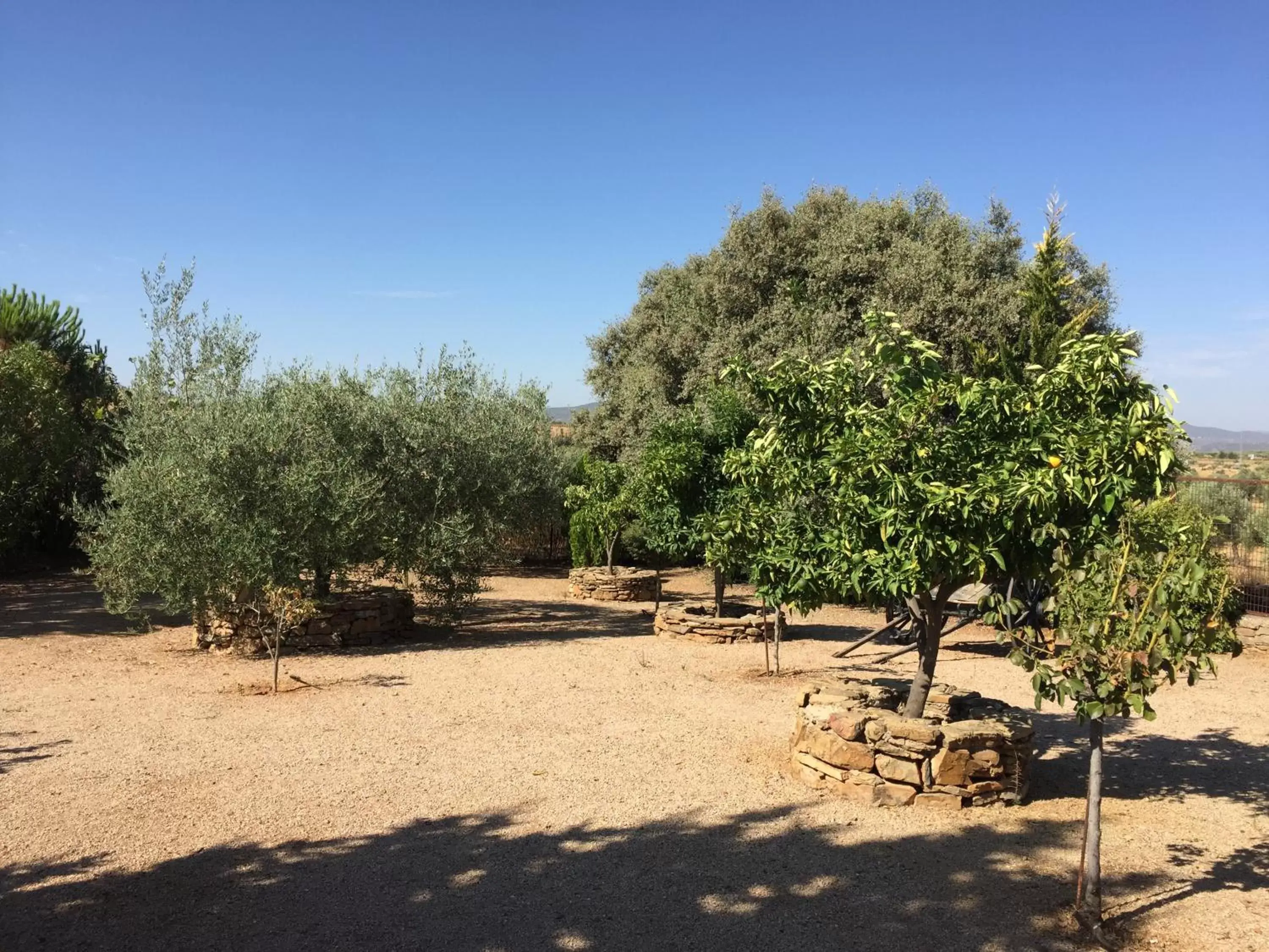 Garden in Apartamentos Atalayas Extremadura